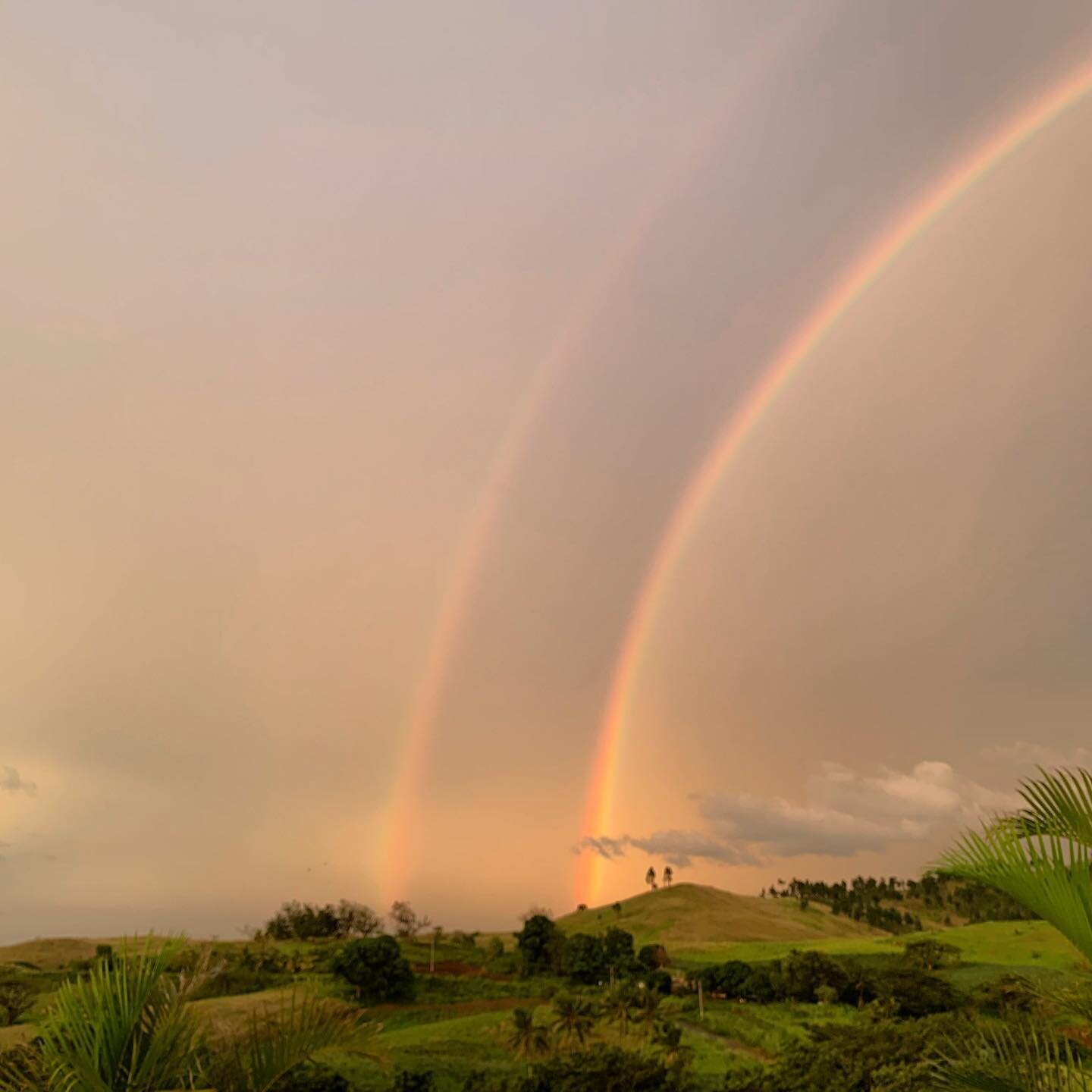 Our hearts go out to all of those affected in the northern and eastern areas of Fiji who were under the path of category 5 Tropical cyclone Yasa. ❤️

Will took this photo from our farm in Momi, looking north east of a double rainbow 🌈 It arced all t