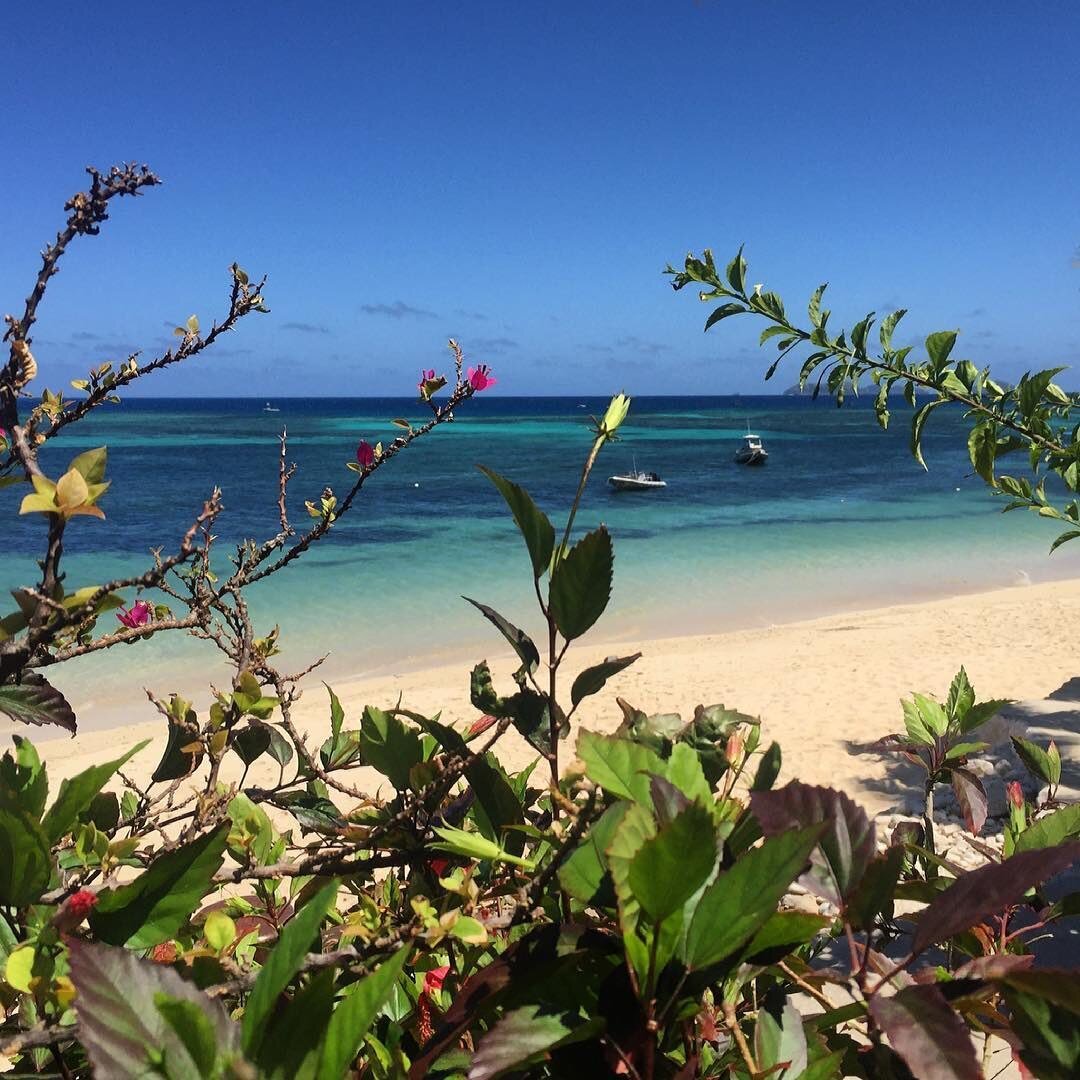 Who misses waking up in the morning to this beautiful view?  Sand, sea and reef are calling.
&bull;
&bull;
&bull;
&bull;
#tokoriki #tokorikidiving #divecentre #dive #instascuba #instatravel #fiji #luxetravel #fijinow #sotatale #beach #paradise #tokor