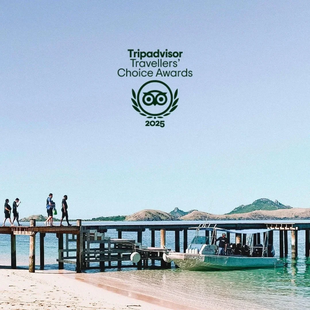 2025 Travellers Choice Award