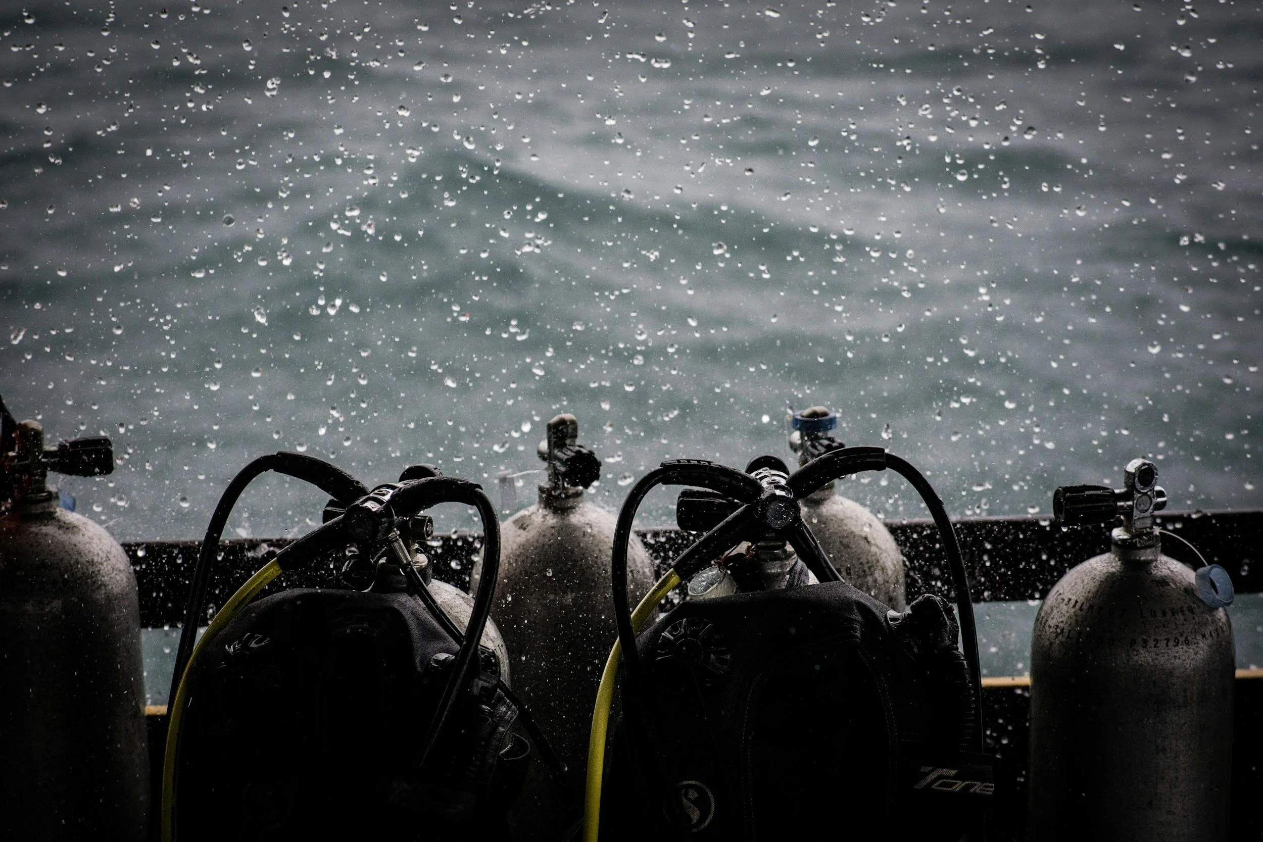 70% of voters from an online poll say “My best dives have been made in the rain”