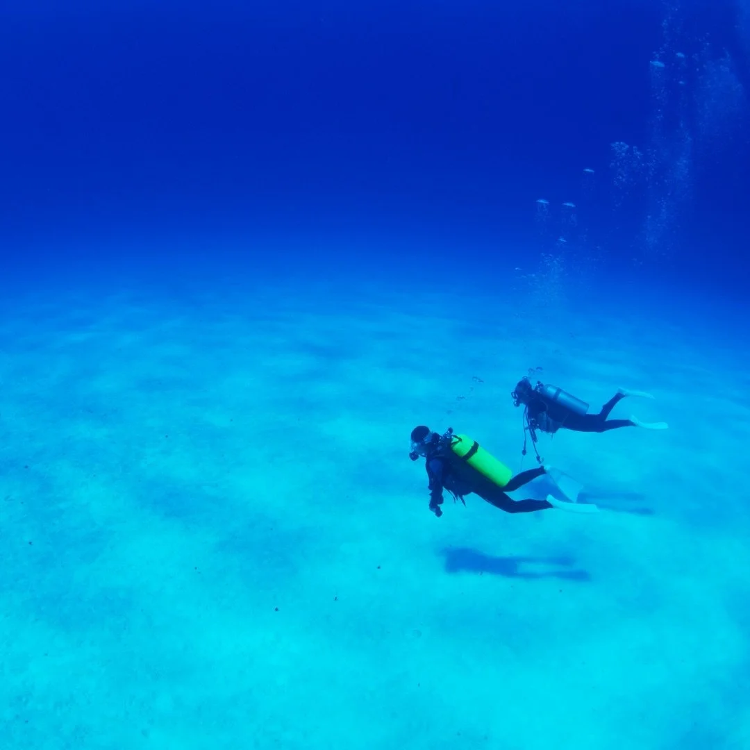 It's a different world beneath the surface. Free from daily routines, work-related pressures, family obligations, and global turmoil. Scuba diving provides a chance to inhale deeply and exhale slowly.

#tokoriki #padi #fivestar #tokorikidiving #blue