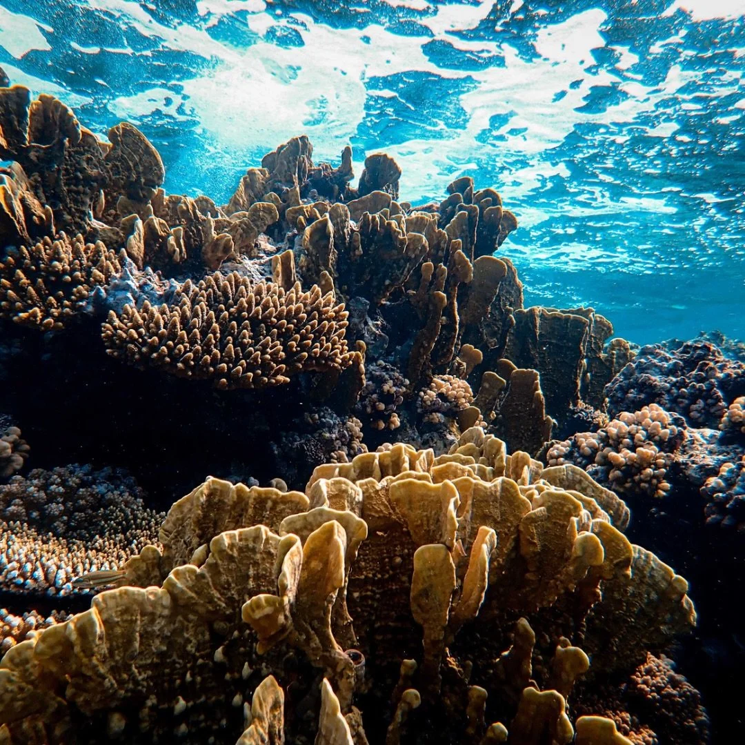 It doesn&rsquo;t have to be perfect to capture an interesting image. 

Top tips:
Divide the image you want to take into thirds. In this image one third is water, one third is background and the final third is foreground. 

Also aim upwards to get a g