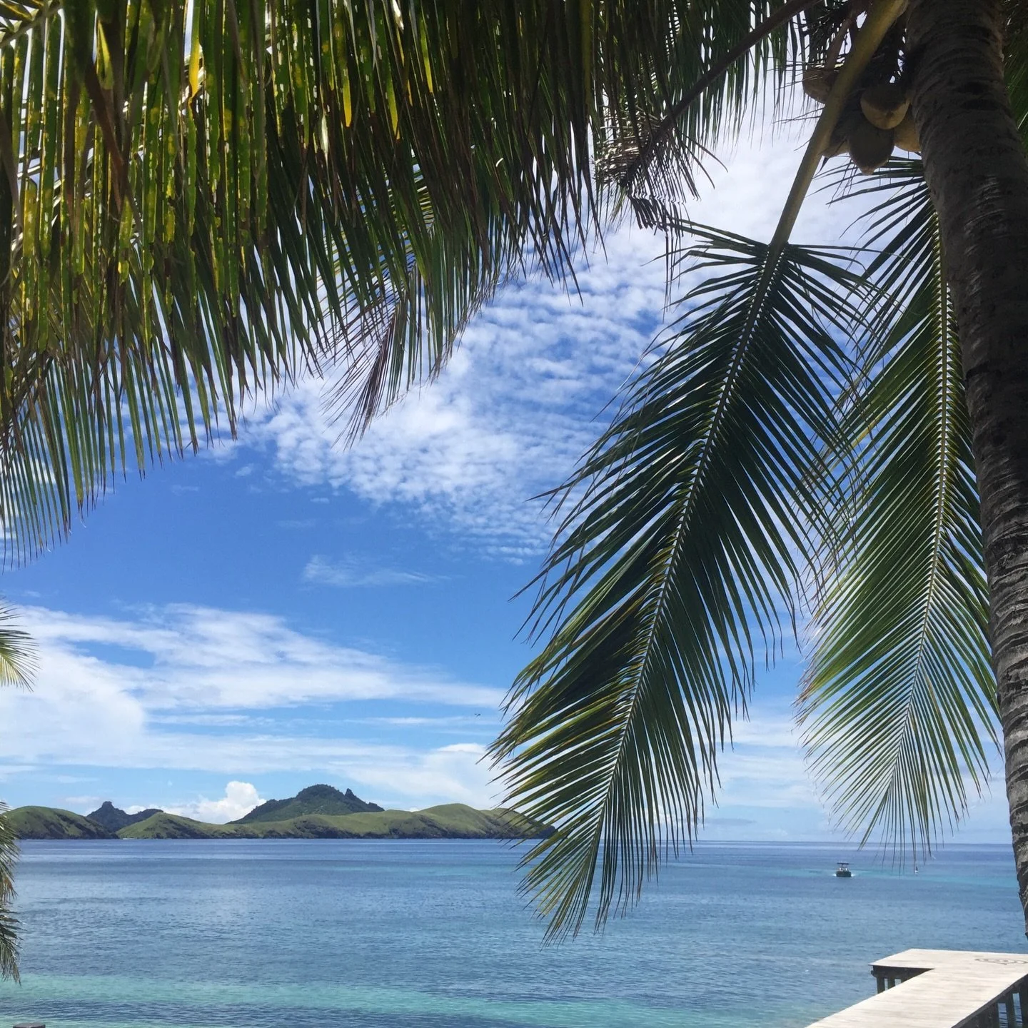 Dive boat heading back to Tokoriki Island Resort in time for a delicious lunch and an afternoon spent relaxing under the coconut trees.  Heaven. 

#tokorikidiving #tokorikiisland #tokorikiislandresort #tokoriki #fiji