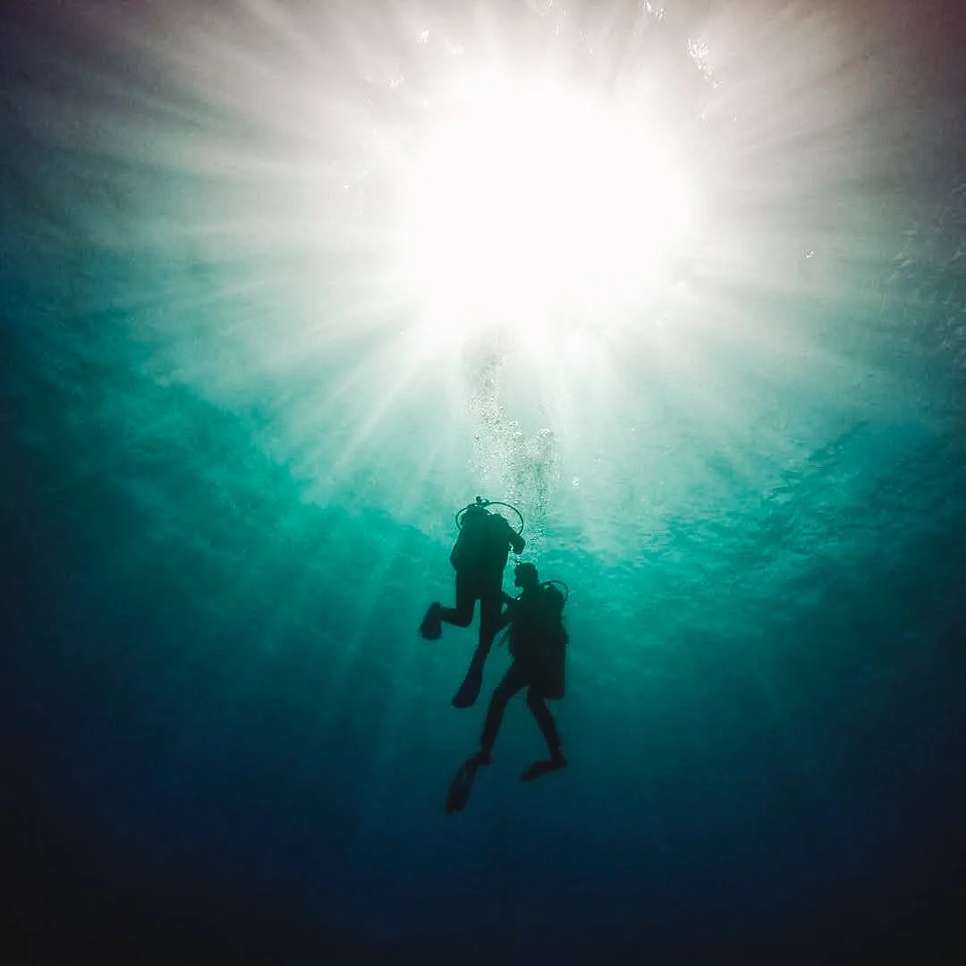 Descending into another World.

Your PADI Instructor provides a watchful eye and reassuring presence as you learn and practice crucial skills in the PADI Open Water Diver Course.

#tokoriki #padi #dive #fivestar #fiji