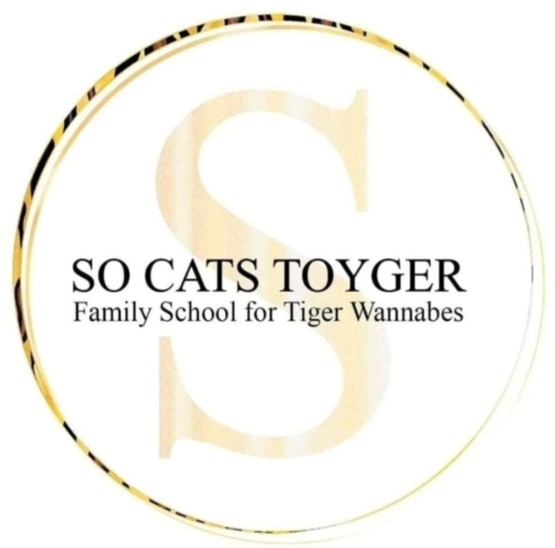 So cats toyger