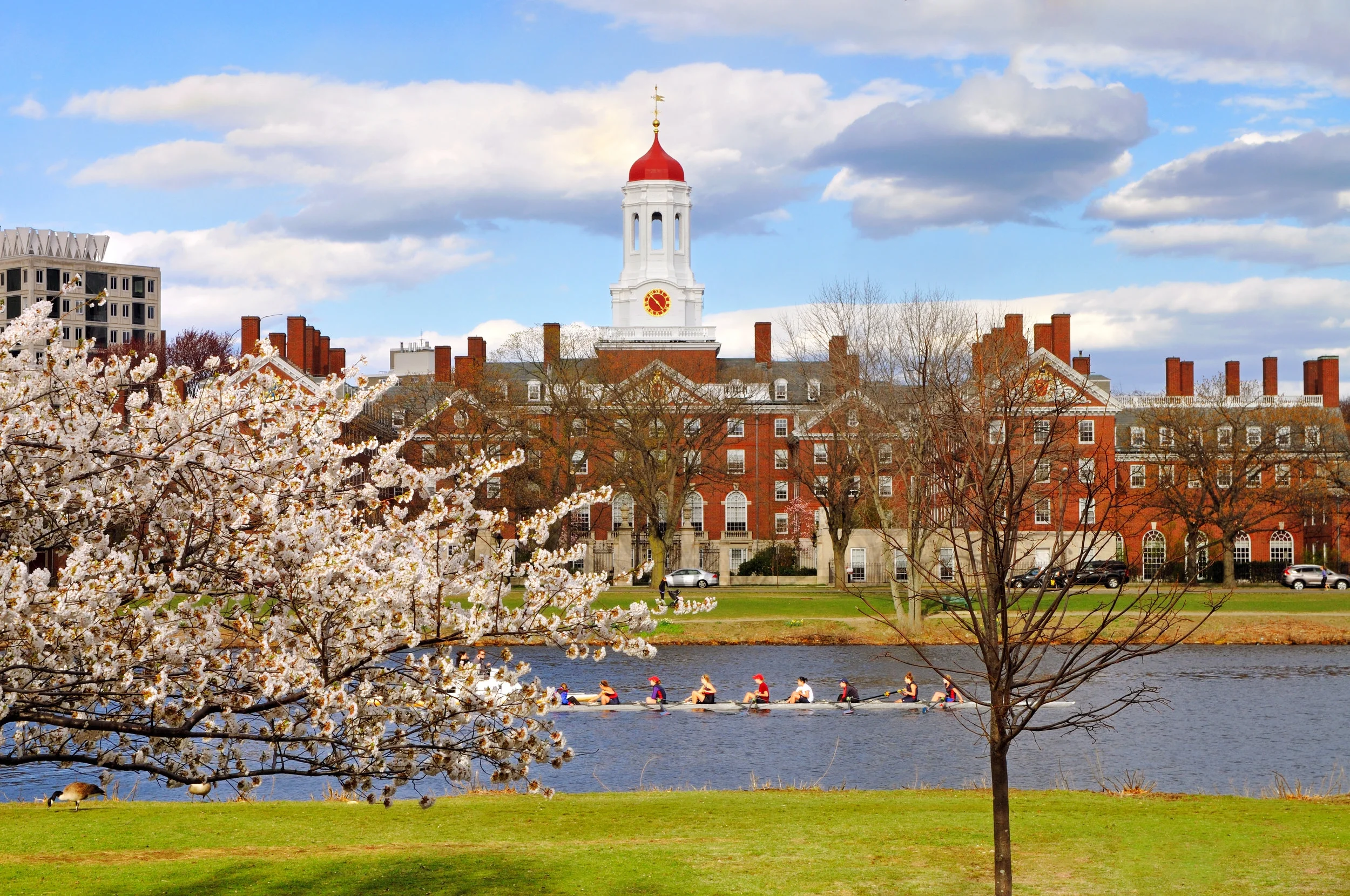 Harvard Yard