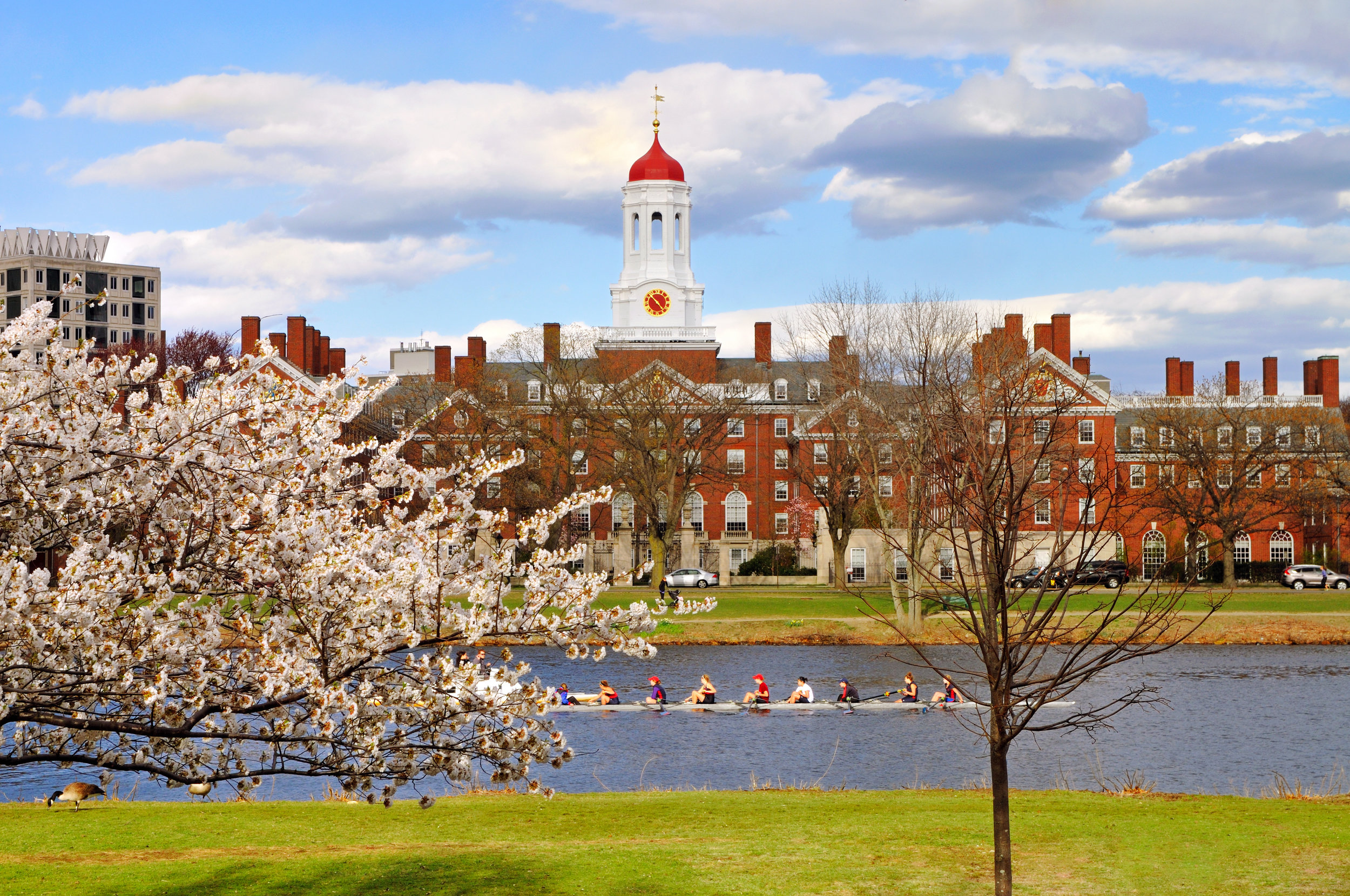 Harvard Yard Cambridge, MA