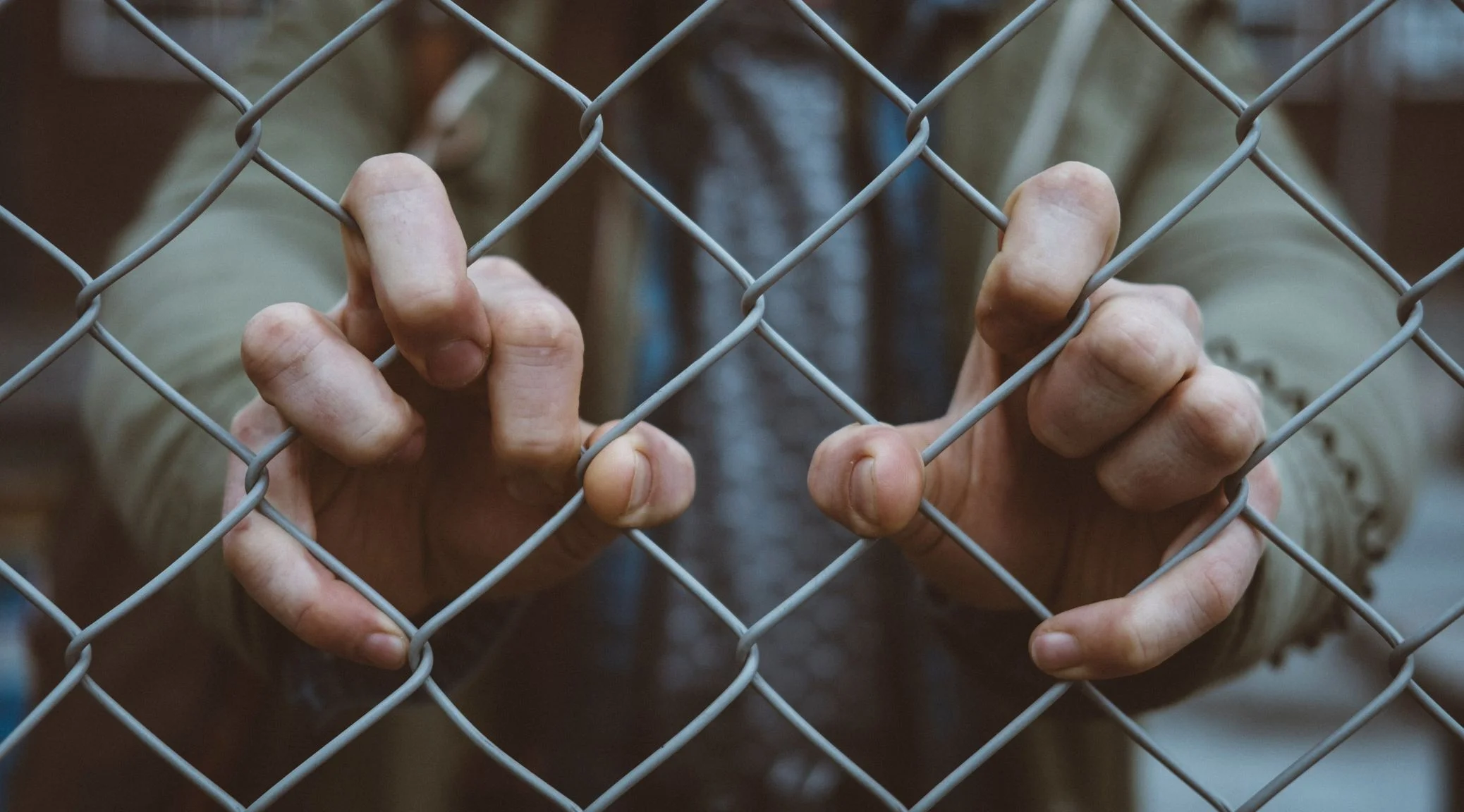 Photo by Mitchel Lensink on Unsplash