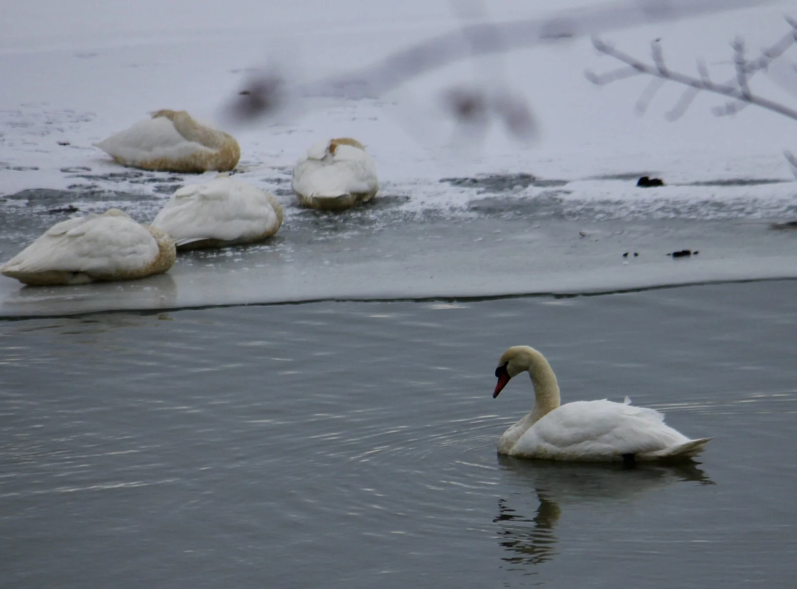 There Has To Be  A Better Place