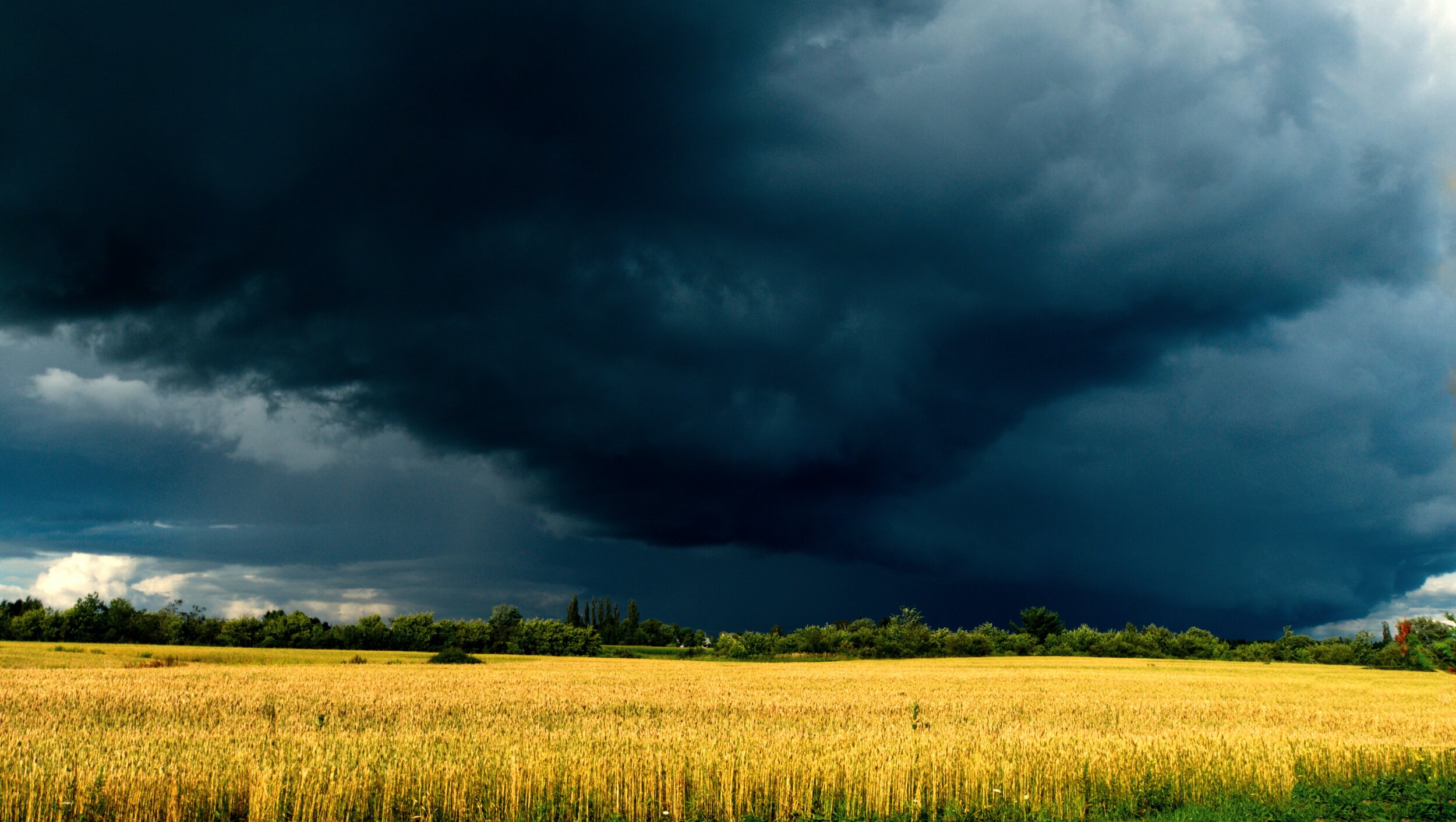 The Unexpected Storm