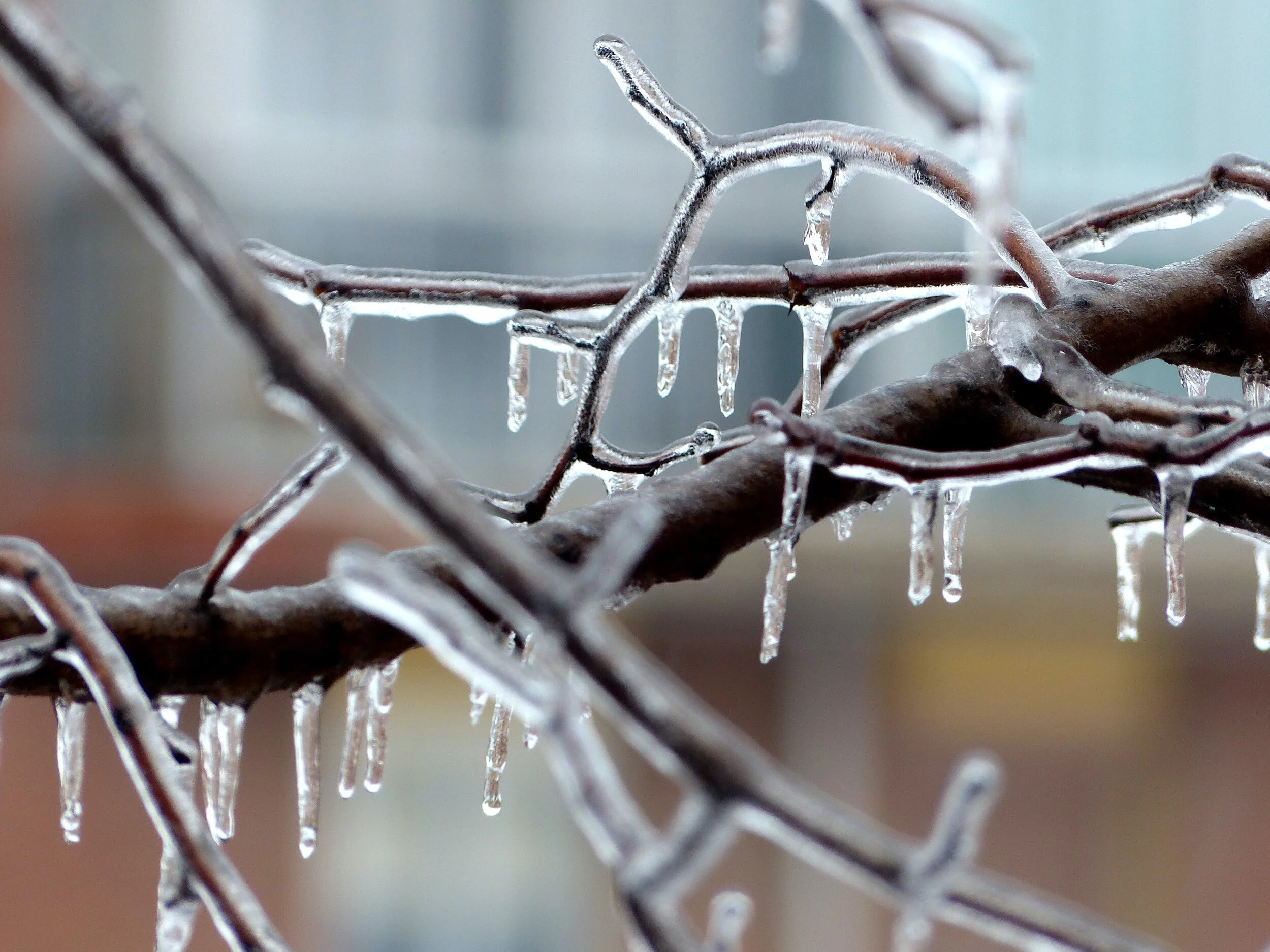 Melting Snow