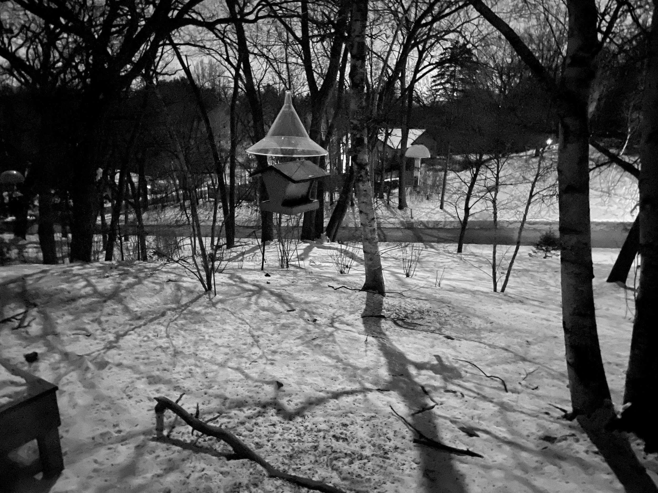 The Moonlight Is Not Mine