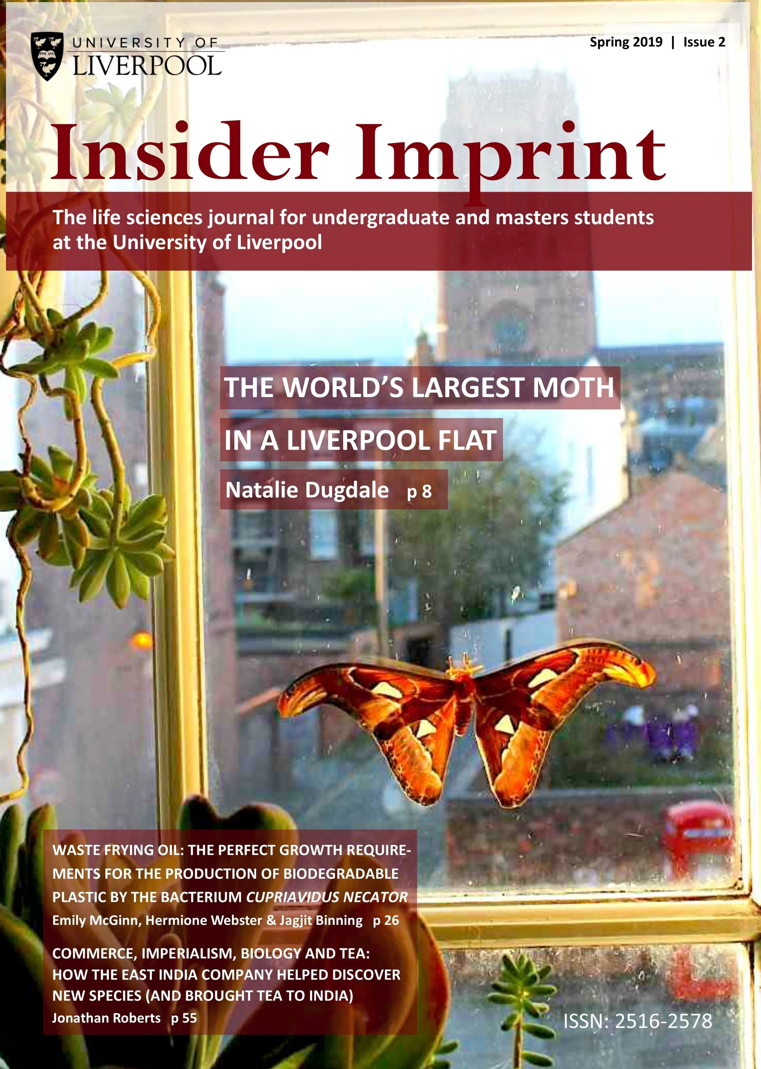 Issue2-just front cover.jpg