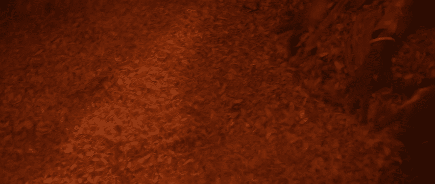 City Of Widows-high.gif