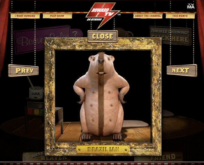 Interactive Beaver Salon