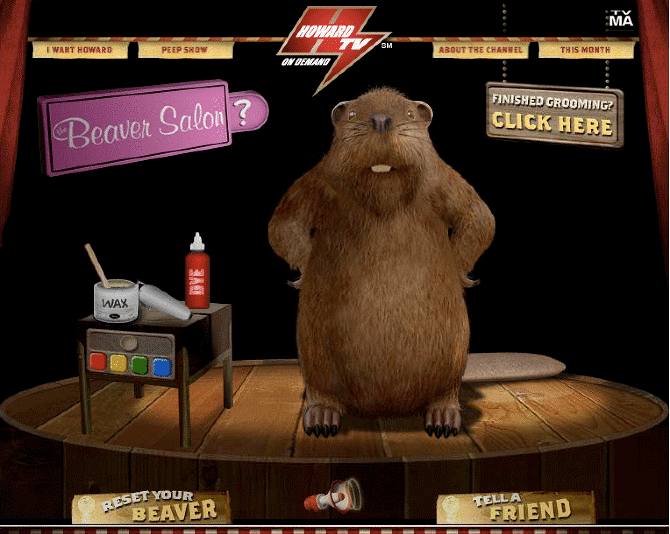 Interactive Beaver Salon