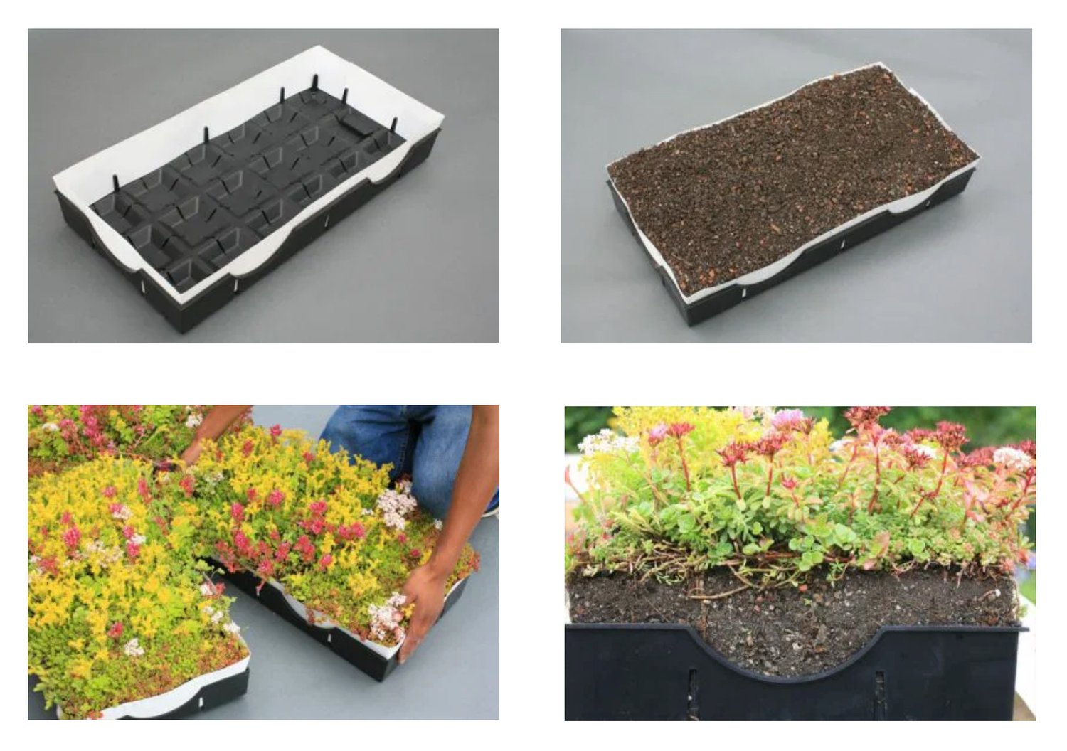 Top Six Reasons You Should Install a Green Roof On Your Net Zero Home ...