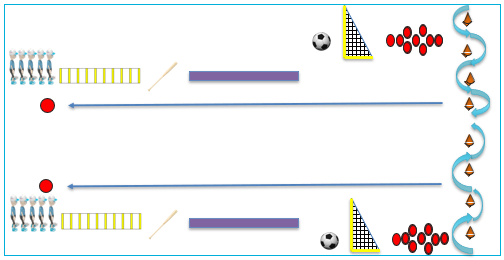 GrowFit Obstacle Course.png