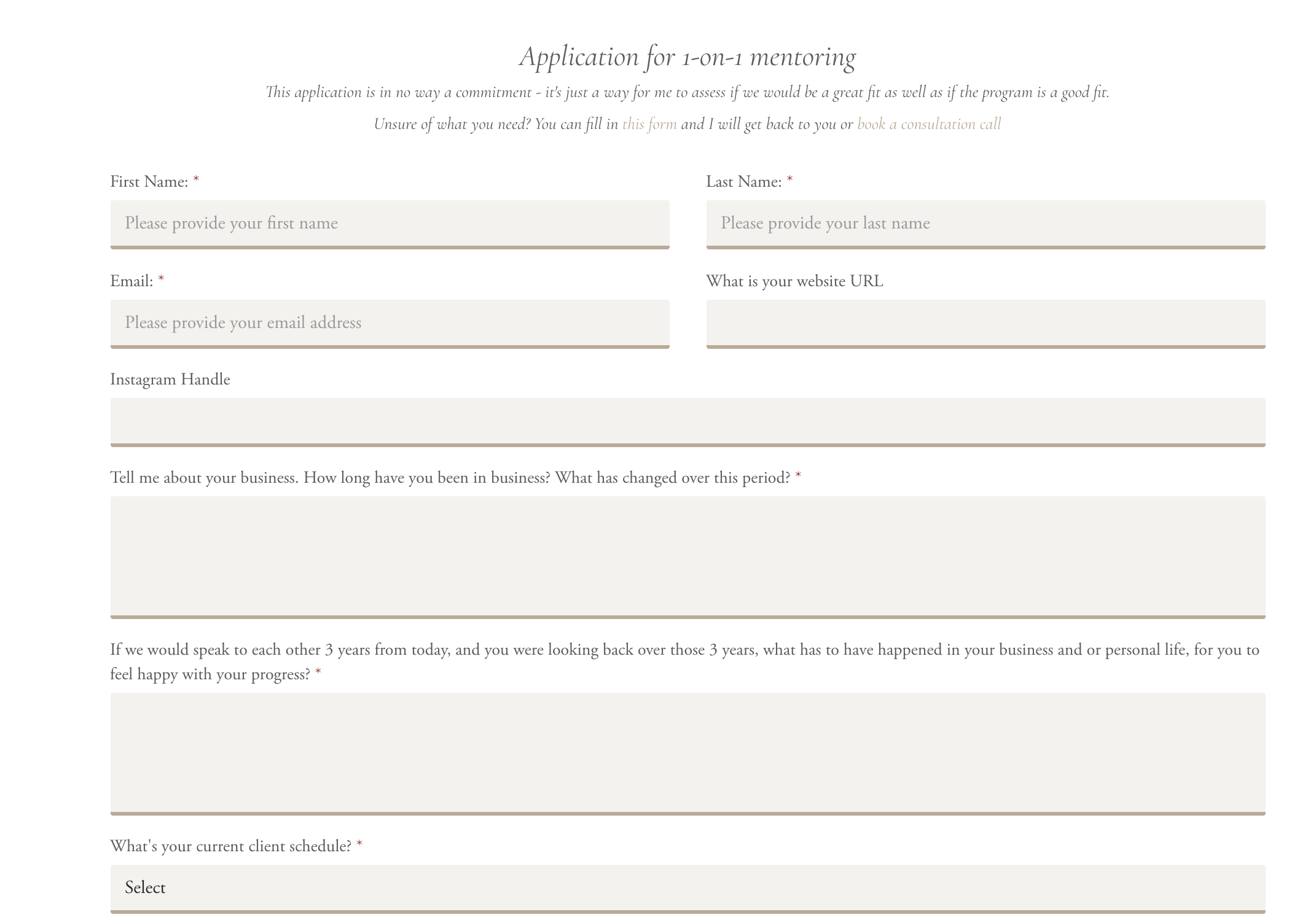 Example application form from The Streamlined Creative