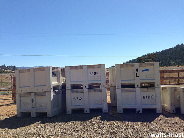 Can you spy the Waits-Mast bin? Photo: J. Waits