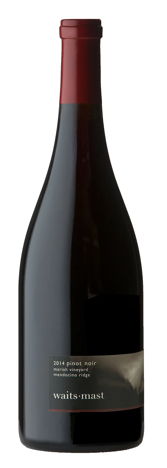 Waits-Mast_Pinot Noir_Mariah Vineyard 2014.jpg