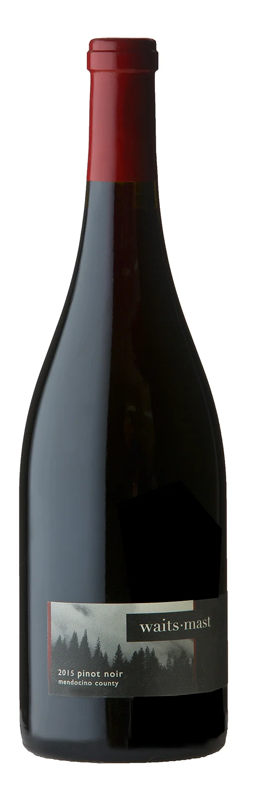 Waits-Mast_Pinot Noir_Mendocino County 2015.jpg