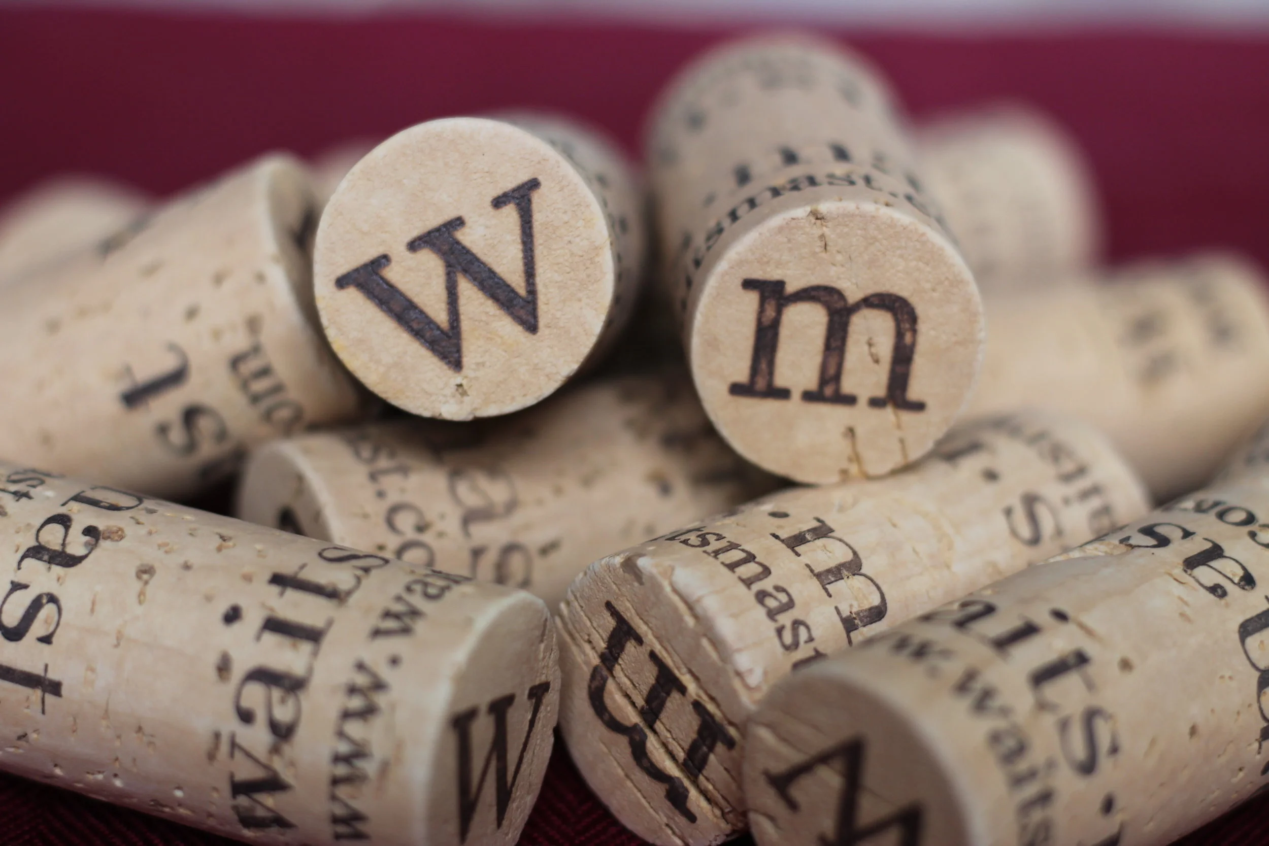 Waits-Mast at Wine Country in the City Tasting