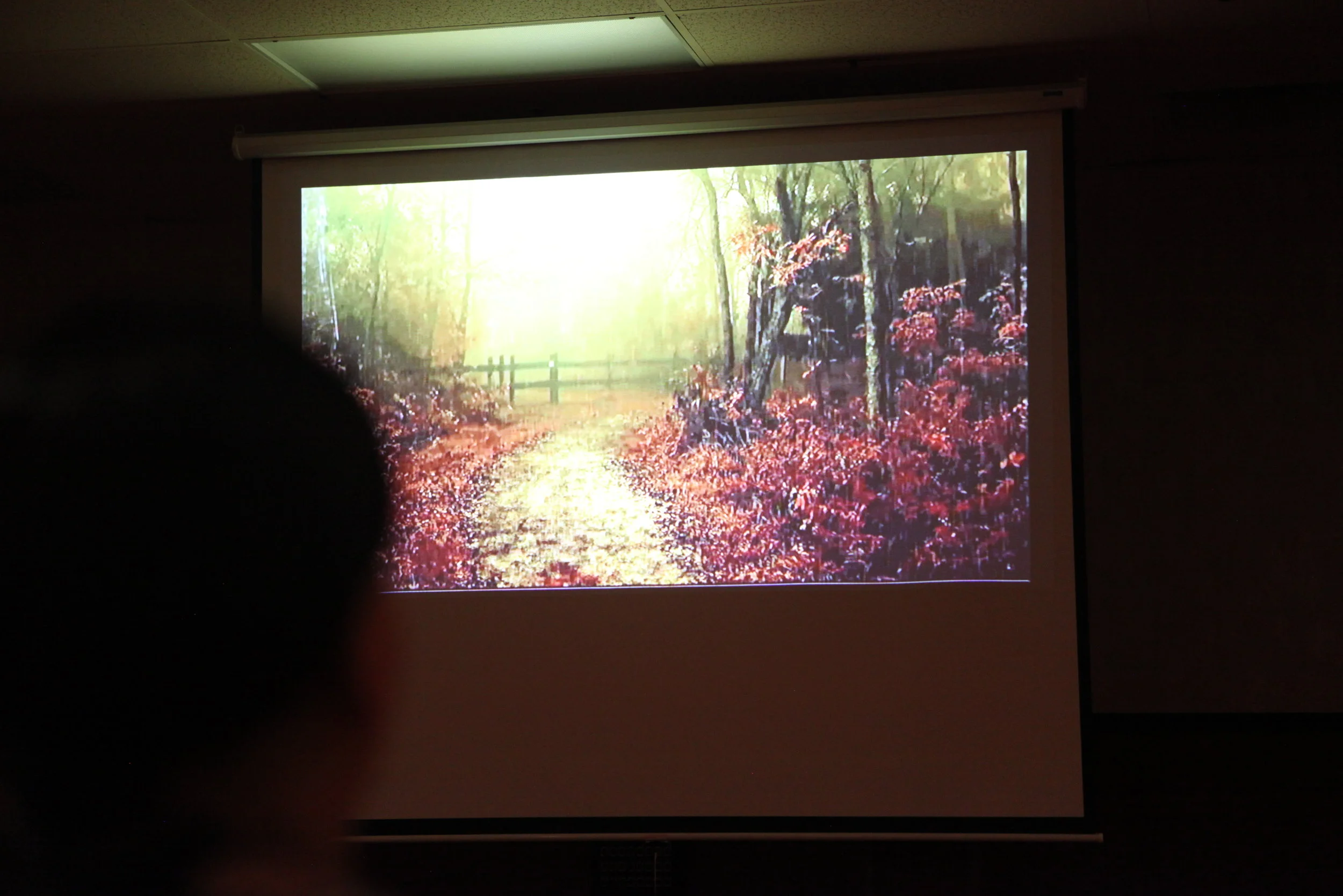 Guided Meditation Images with Rest Alive LLC. 