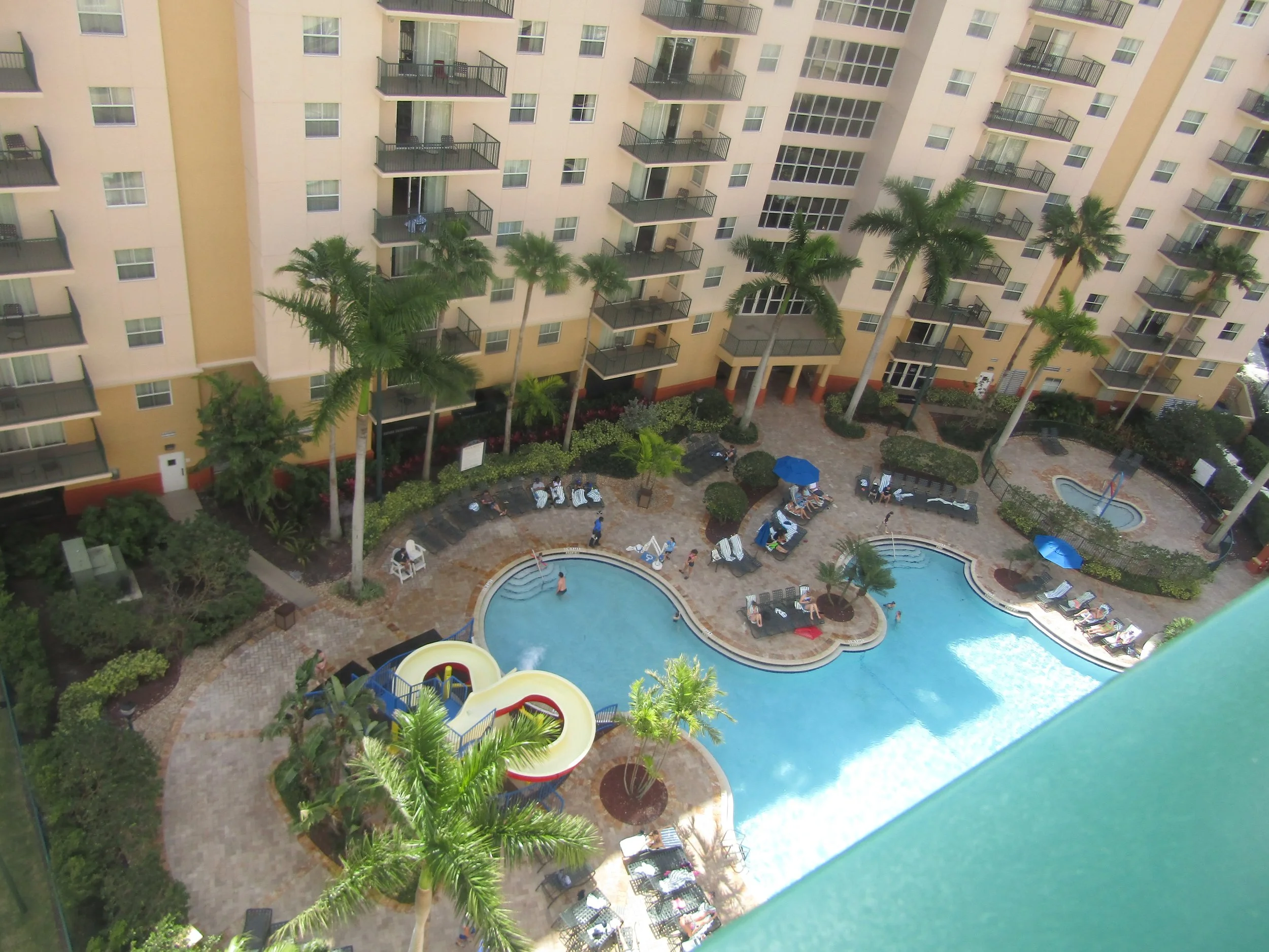 updated Florida pic.jpg