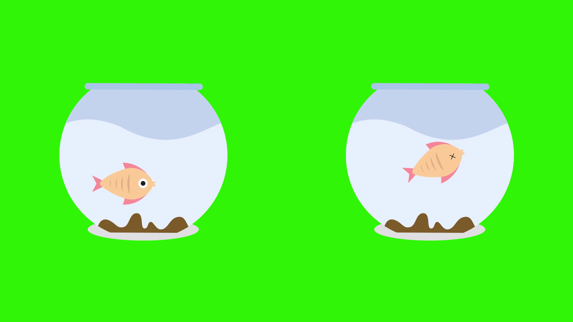 videoblocks-cartoon-fish-bowls-with-dead-fish-and-live-fish_hsvvesnog_thumbnail-full01.png