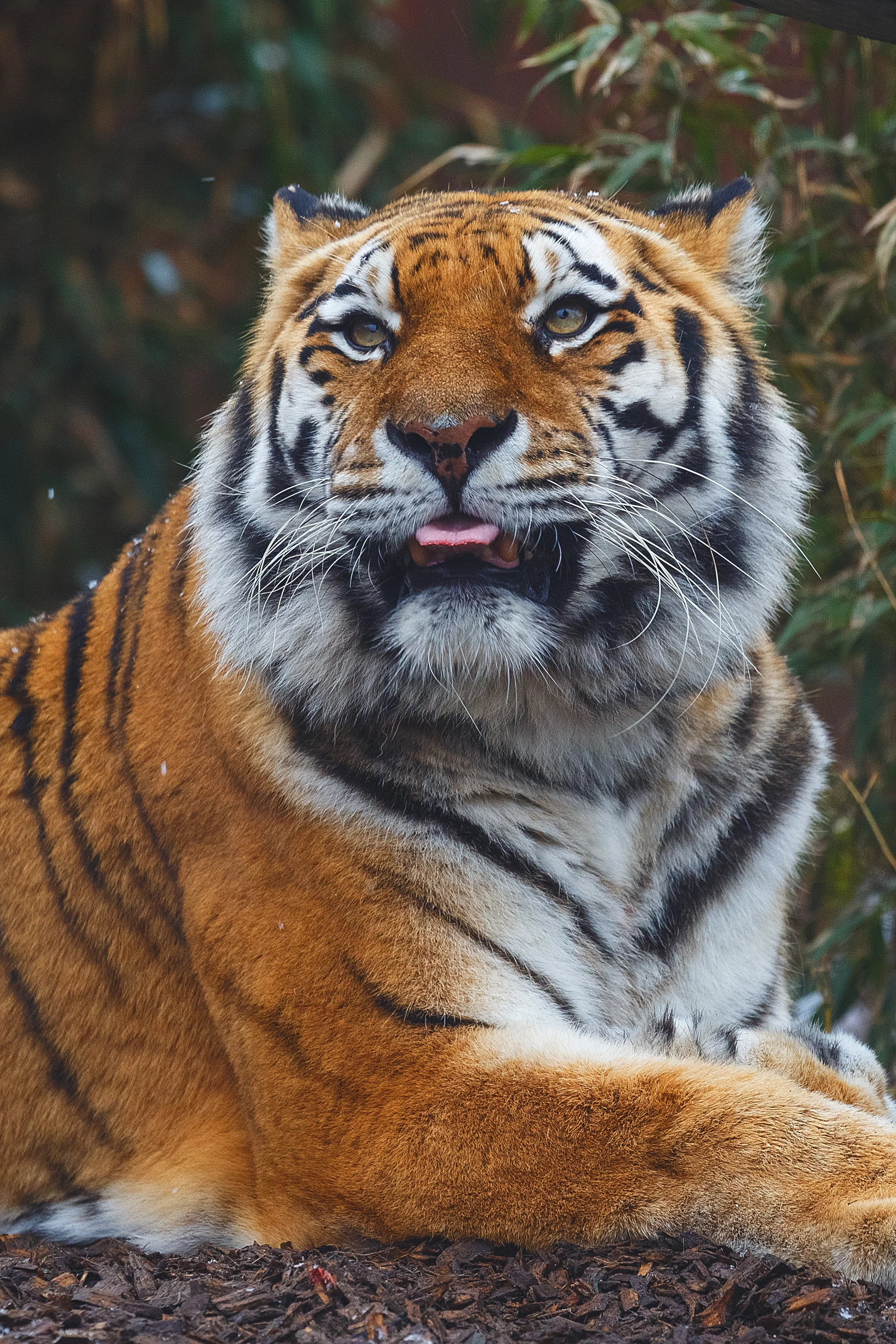 Neither is this one. Photo by Andy Holmes on Unsplash