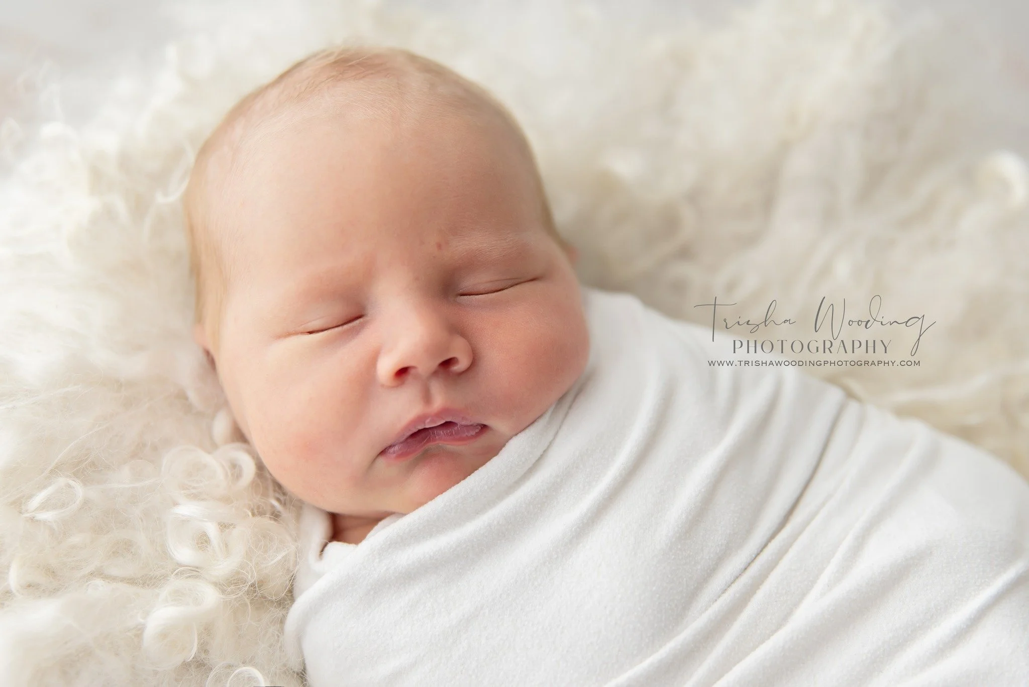 W I L L I A M -  7  D A Y S

Sweet as pie and with cheeks for days, William came in today for his newborn session. 

After a bit of awake time at the start, we decided to wrapped him up, and then he was content to fall into a deep sleep and smashed o