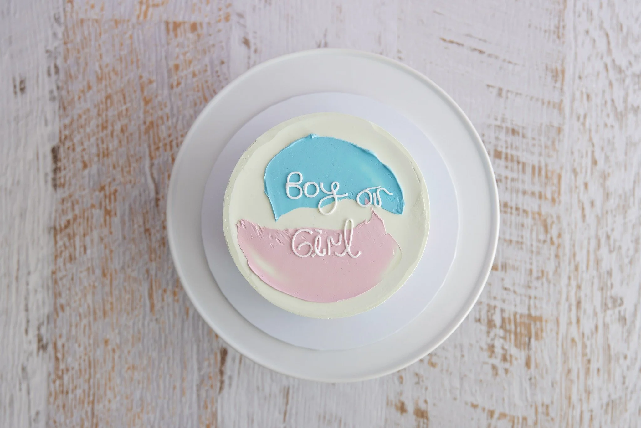 Watching families grow over the years is one of the most special parts of this job, and sweet little Remi and Jax are no exception. 
We've celebrated cake smashes and newborn sessions together, so being part of another huge milestone for their family
