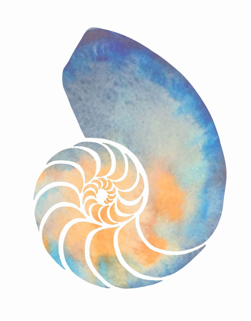 DCnautilusColor flat (1).jpg