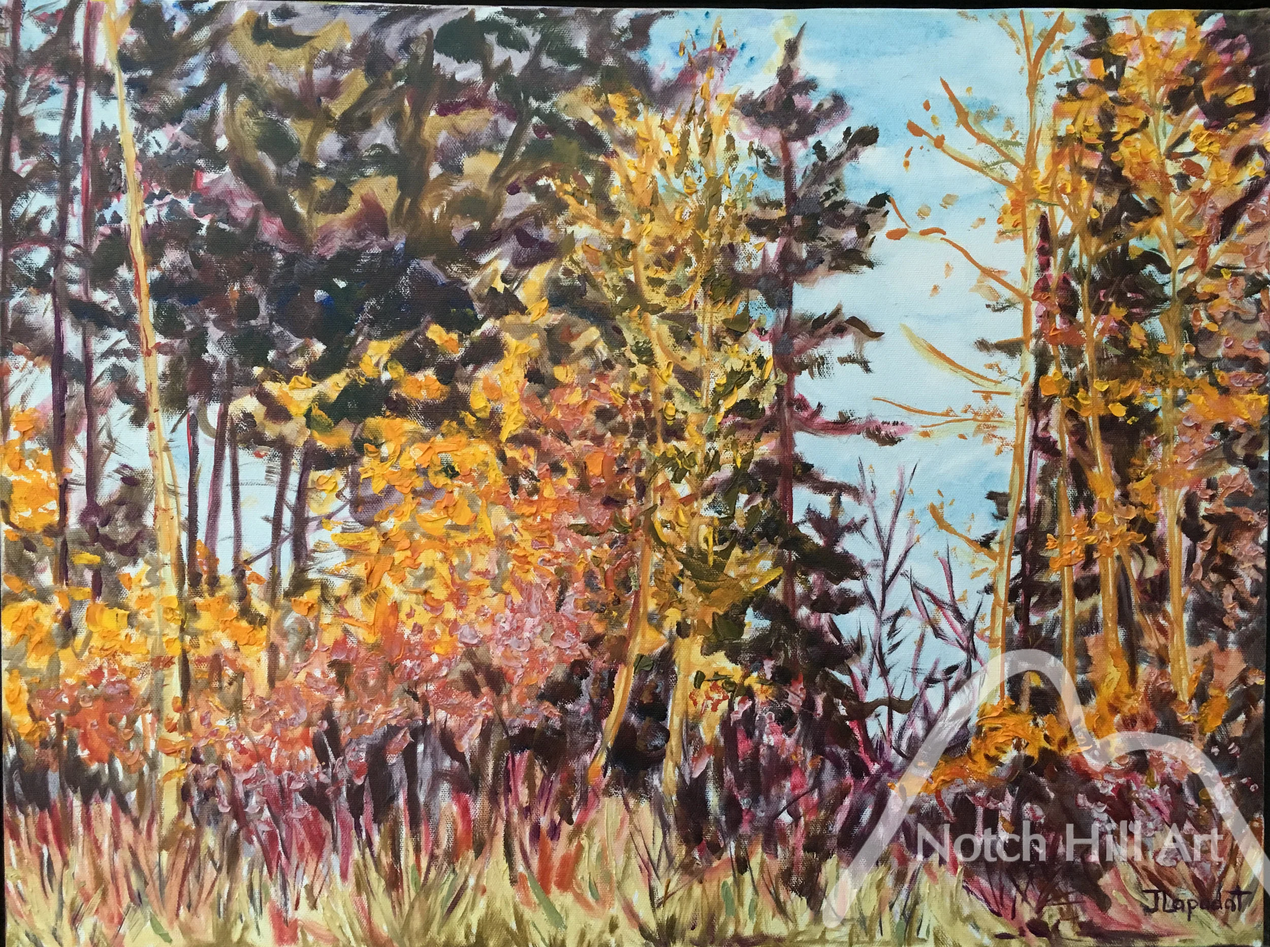 Along The Trail