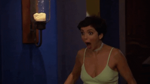 giphy (16).gif