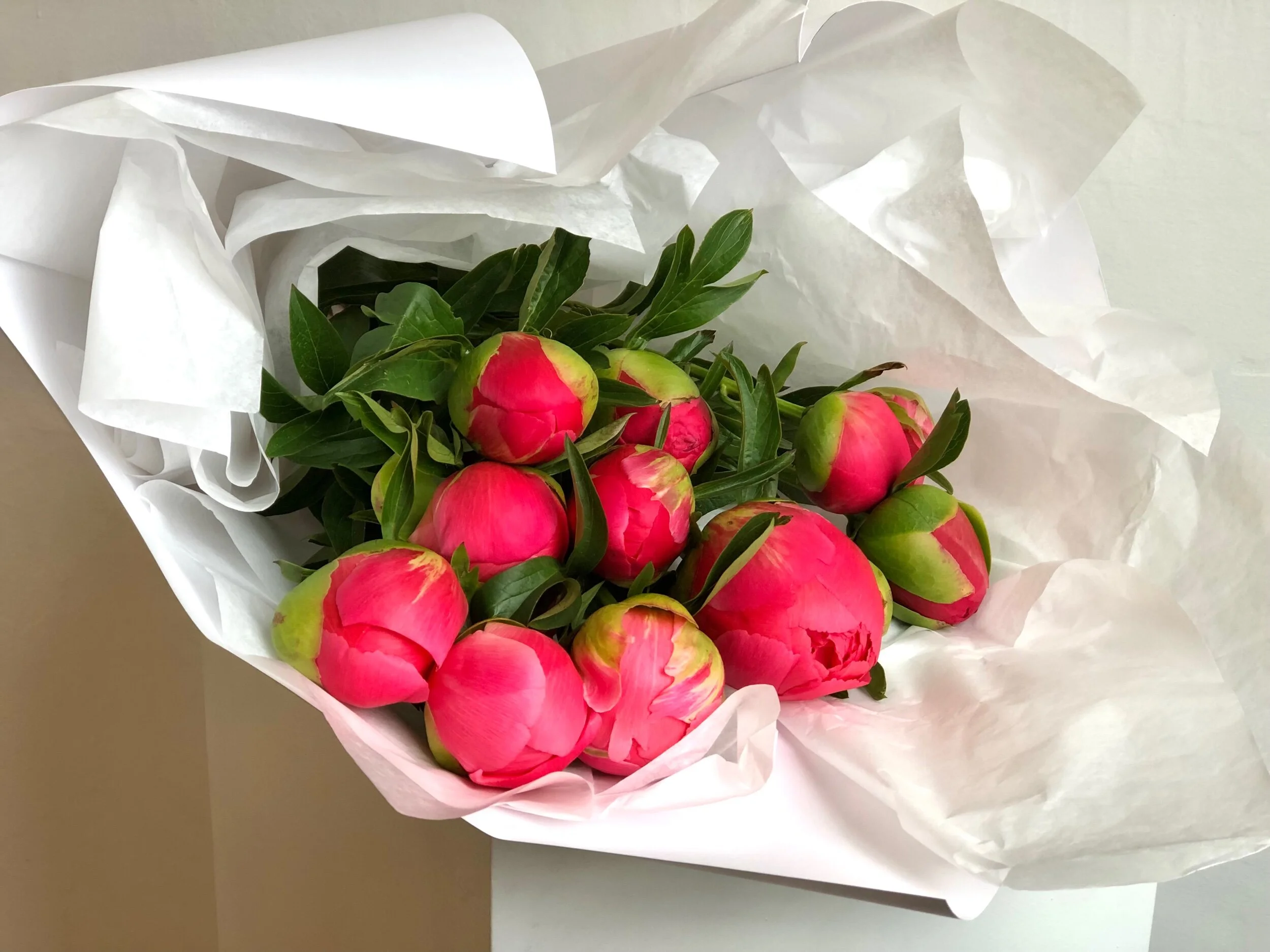 E6A4BC83-99C4-44D2-BF05-FB9E3C5F7F21