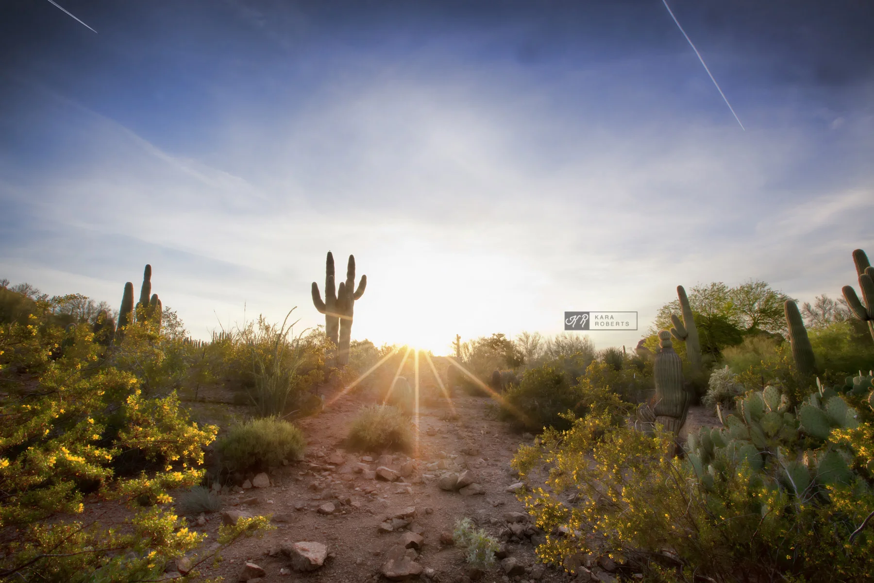 desert sunset.jpg