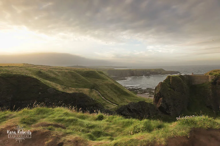Dunnottar1-web-768x512.jpg