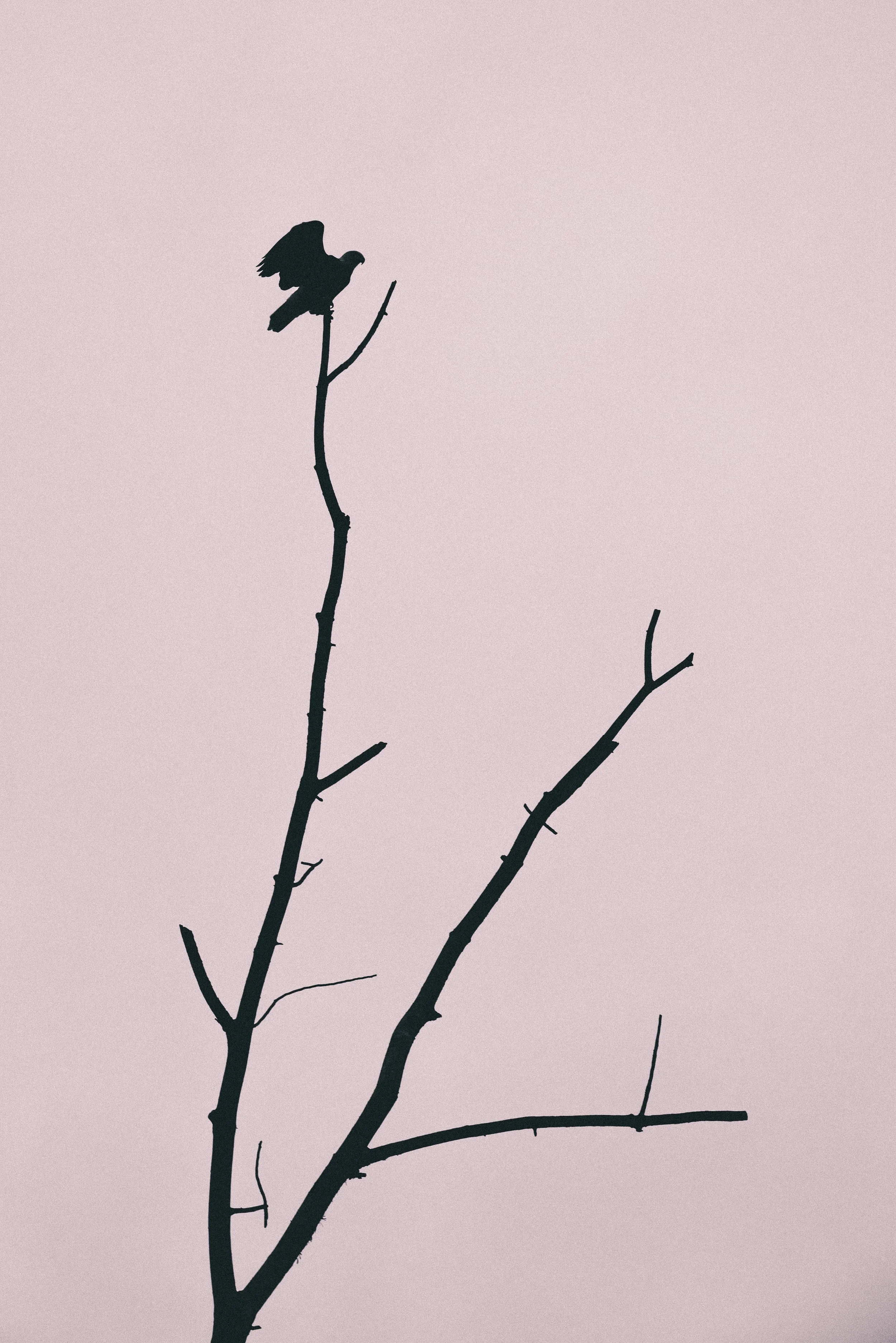 DSC_6370.jpg