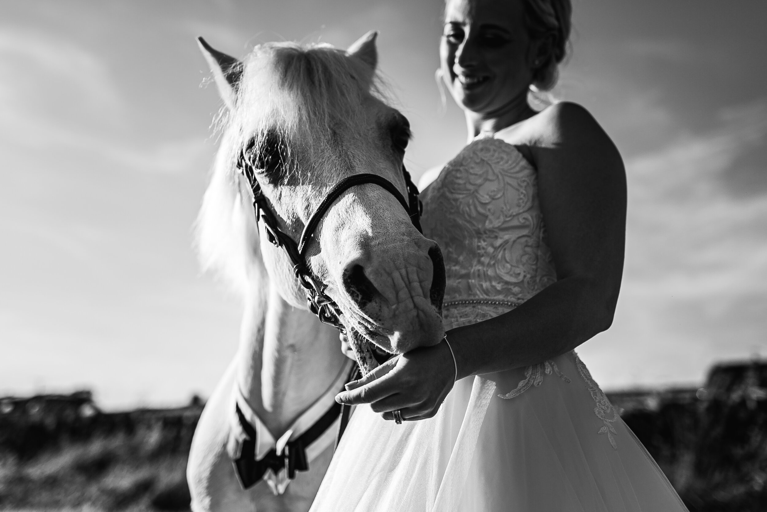 19_08_24-Wedding Photography-Wedfest-676.jpg