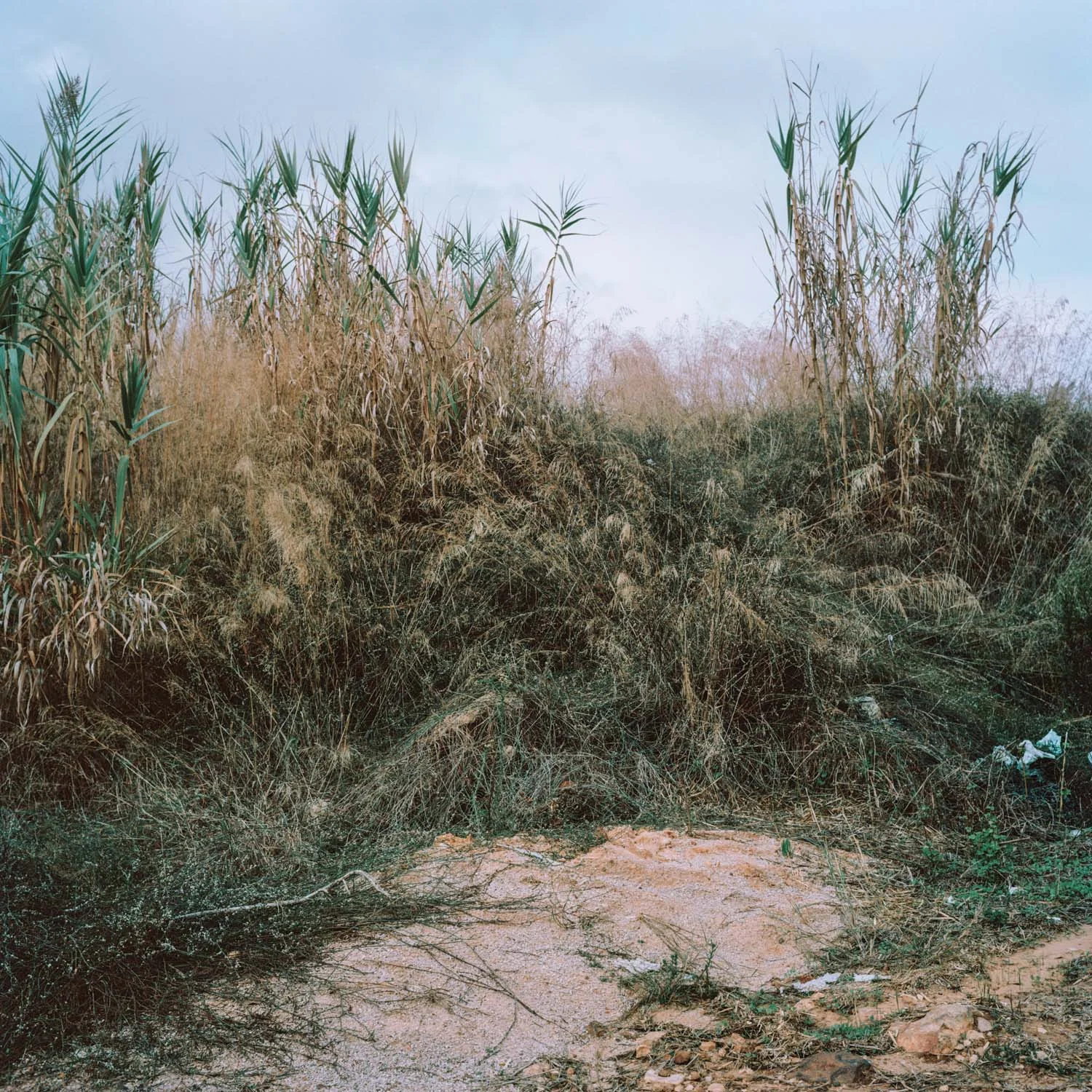 Of and from nowhere Lost Strange Things: On not finding home 2013 - 2014 Selected images This series of photographs and found documents brings together the culmination of a photographic and artistic research into the question of home, delving into the terrain of nostalgia and belonging through photography. The body of work has grown from two years of photographing people, landscapes, cityscapes as well as objects and interiors. The images illustrate the different facets that represent home while simultaneously observing the affiliation to time, space, people and memory. See also: Lost Strange Things: On not finding home, book
