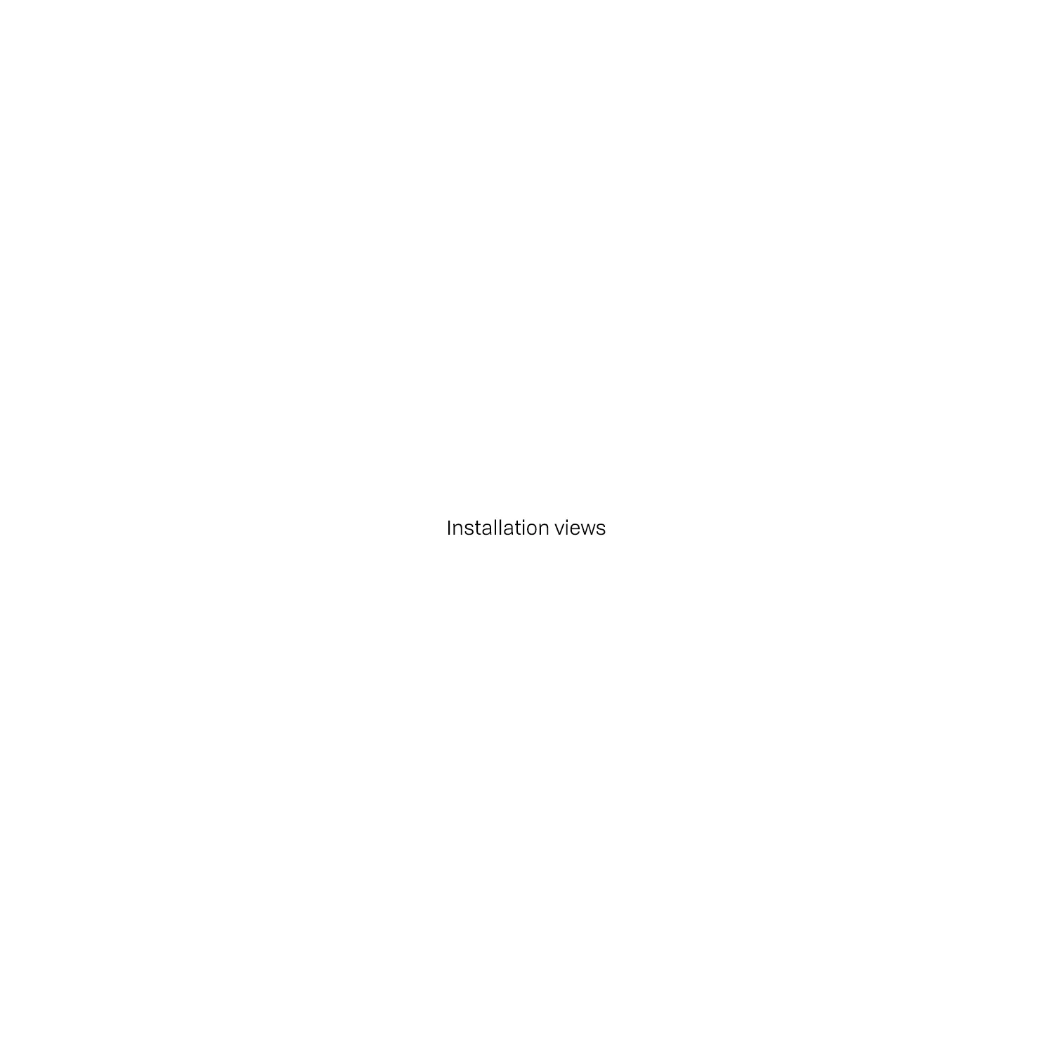Installation-views.jpg