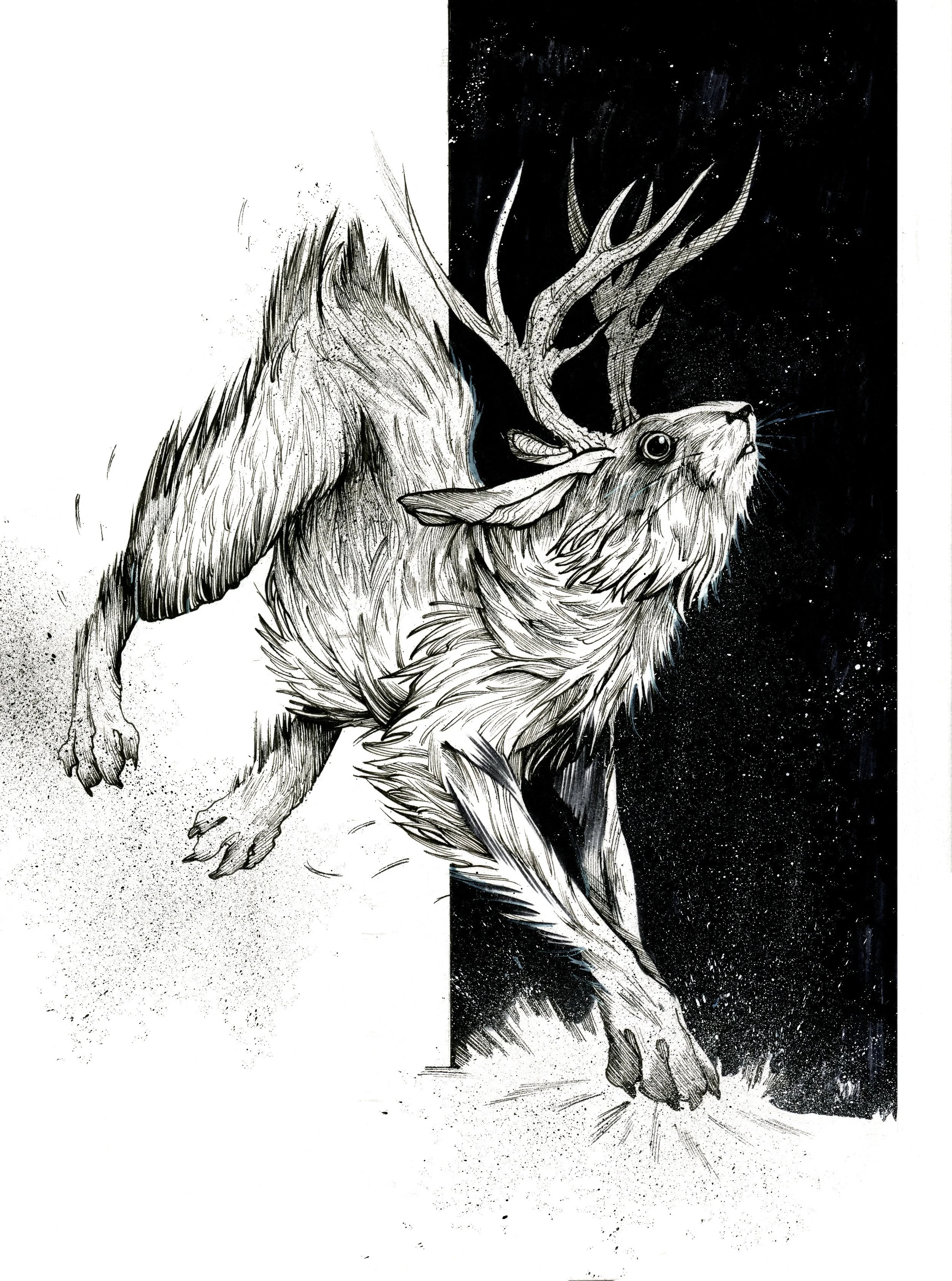 Inktober 15:31-JACKALOPE.jpeg