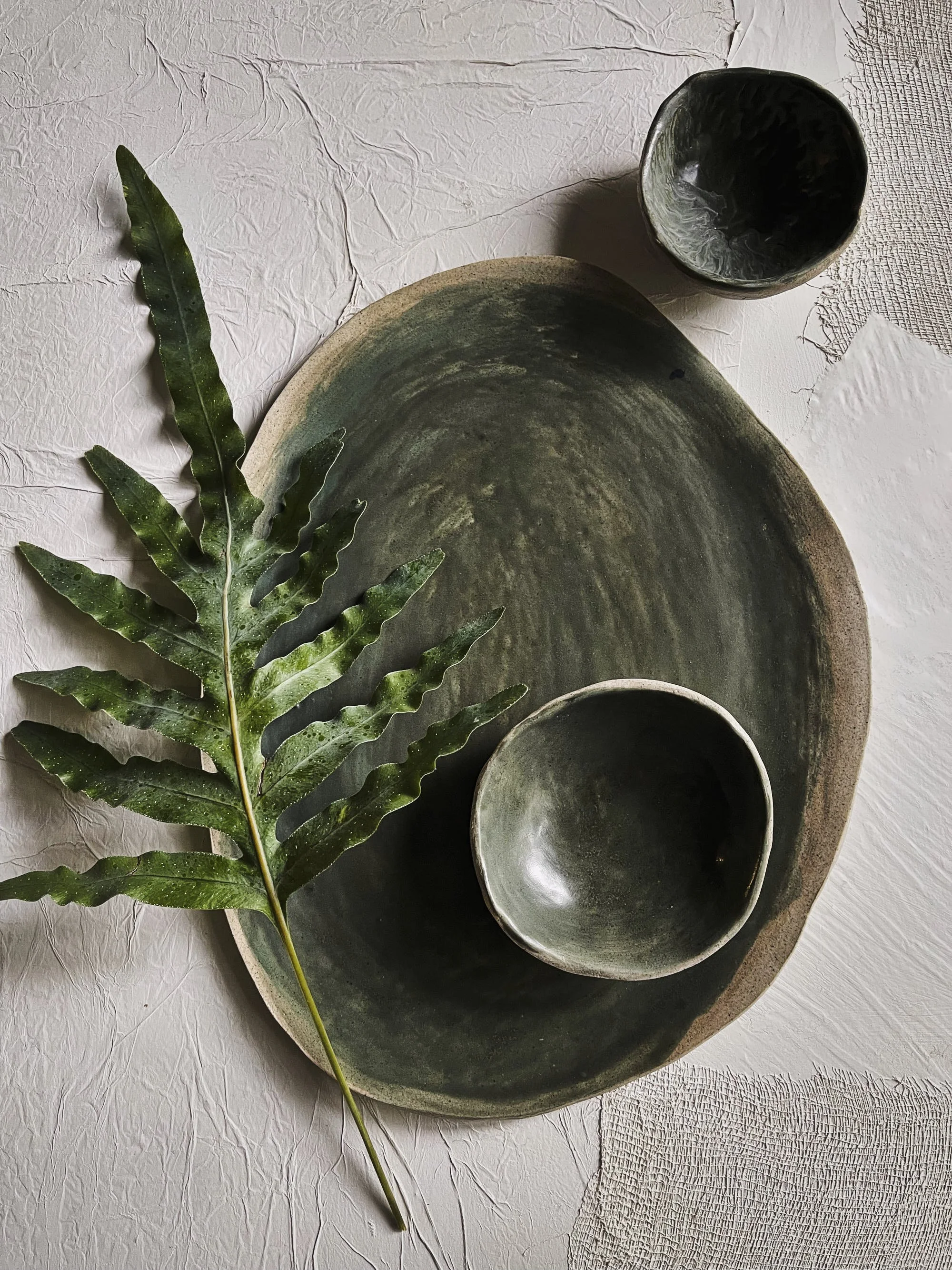 fern with beauty spot