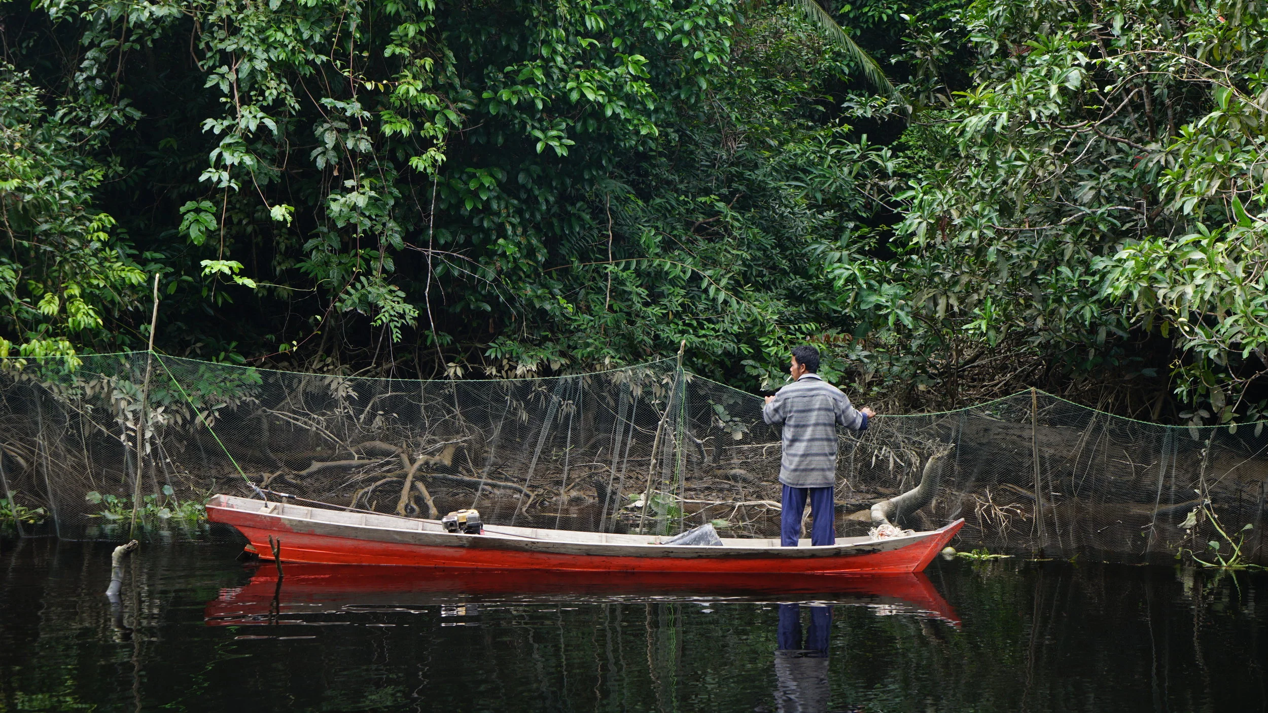  A fisherman checking fish webs in the park 
