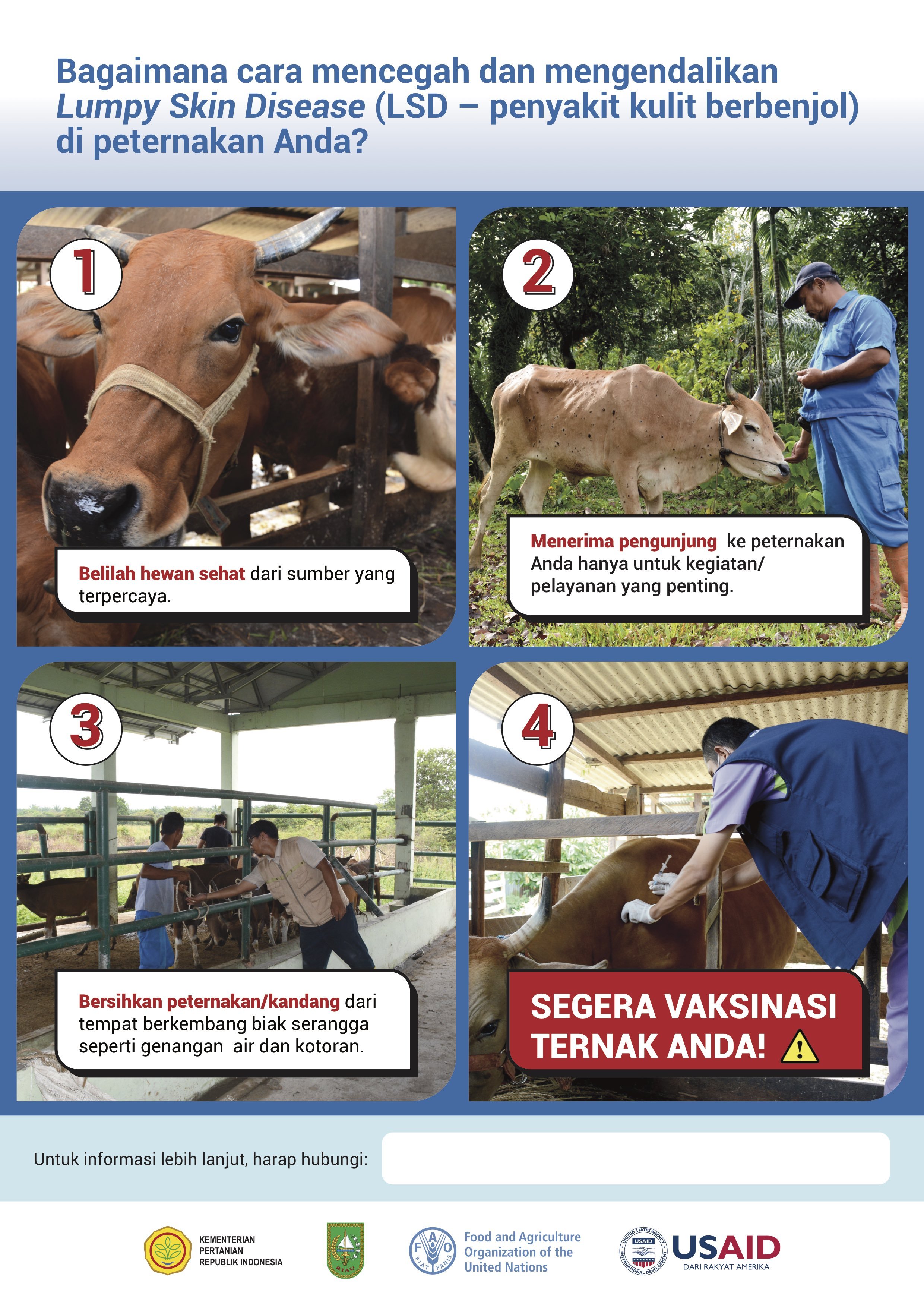 As a visual design consultant, I provide support for the conception and development of social media materials and printed campaigns for the Lumpy Skin Disease Outbreak Response. I am responsible for creating several campaign materials directed to a