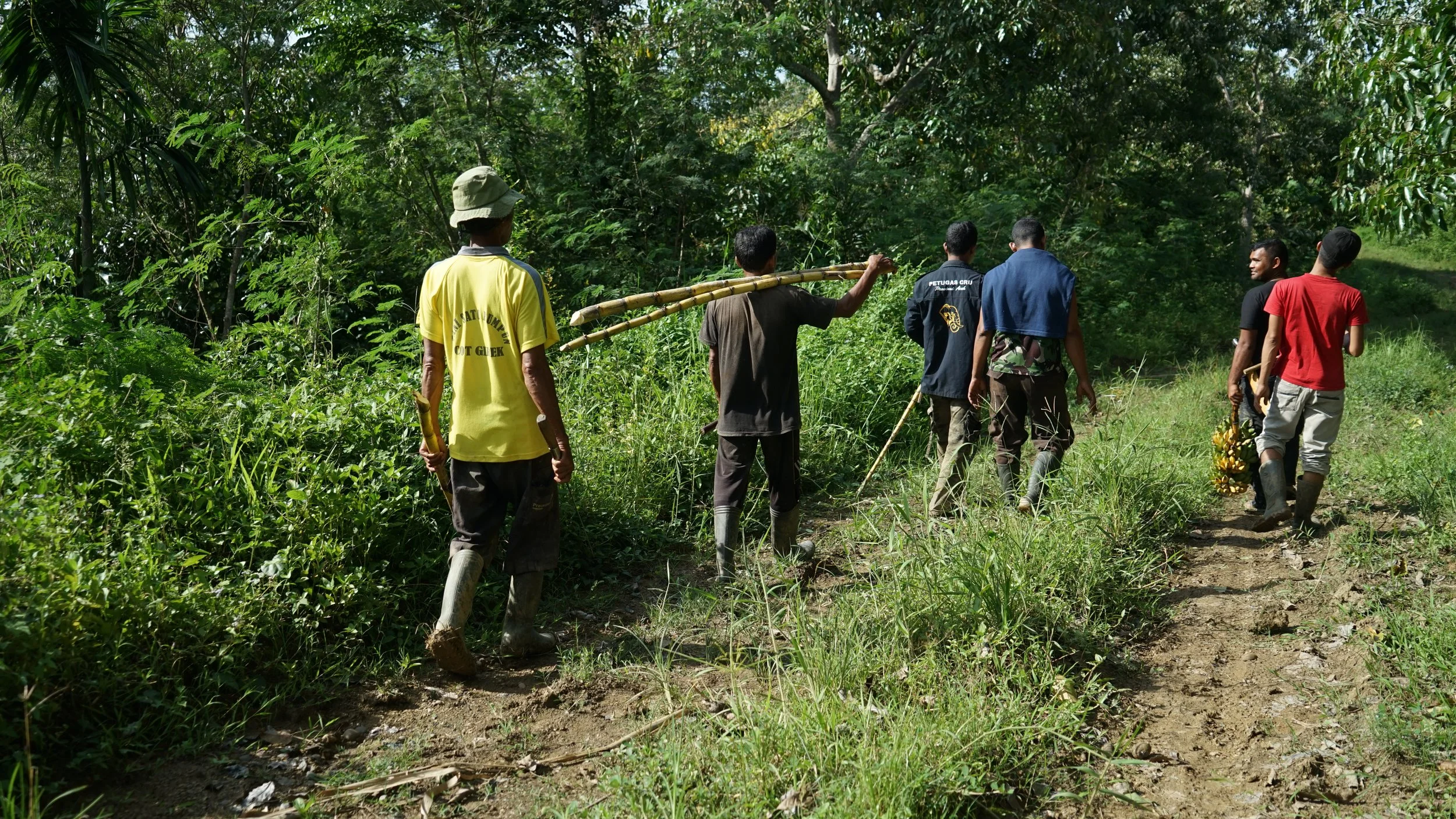  Members of the Conservation Response Unit team in Cot Girek on their way to Marni’s location. They routinely walk their captive elephants around the forested areas of Cot Girek. Image by Fieni Aprilia for Mongabay.   