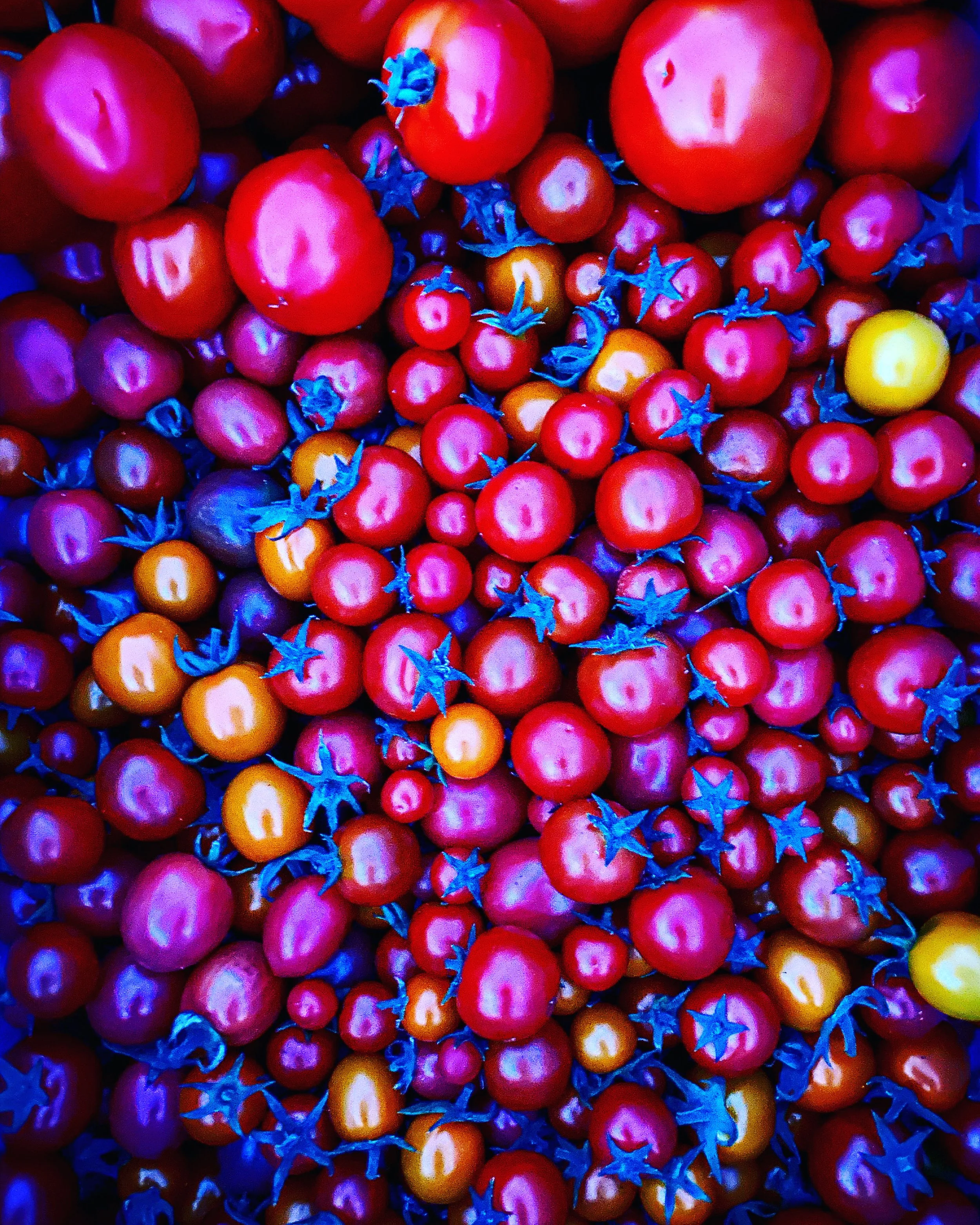 E06A4D81-1464-4396-9F04-8C19DE386DE6.jpeg