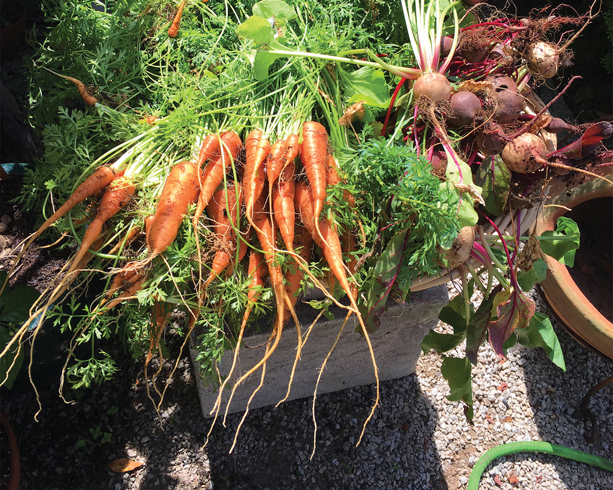 garden_0792.jpg
